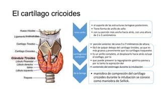 El cartílago cricoides
único anillo
• el soporte de las estructuras laríngeas posteriores.
• Tiene forma de anillo de sello
• con su porción más ancha hacia atrás, con una altura
de 2 o 3 centímetros
cartilaginoso
completo
• porción anterior, de unos 5 a 7 milímetros de altura,
• fácil de palpar debajo del cartílago tiroides, ya que es
más gruesa y prominente que los cartílagos traqueales
• Es un anillo completo, al desplazarlo hacia atrás ocluye
el esófago, por lo
• que puede prevenir la regurgitación gástrica pasiva y
por lo tanto la aspiración del
• contenido del estómago durante la intubación
de la laringe • maniobra de compresión del cartílago
cricoides durante la intubación se conoce
como maniobra de Sellick.
 