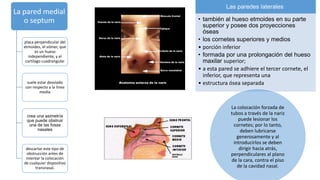 La pared medial
o septum
placa perpendicular del
etmoides, el vómer, que
es un hueso
independiente, y el
cartílago cuadrangular
suele estar desviado
con respecto a la línea
media
crea una asimetría
que puede obstruir
una de las fosas
nasales
descartar este tipo de
obstrucción antes de
intentar la colocación
de cualquier dispositivo
transnasal.
Las paredes laterales
• también al hueso etmoides en su parte
superior y posee dos proyecciones
óseas
• los cornetes superiores y medios
• porción inferior
• formada por una prolongación del hueso
maxilar superior;
• a esta pared se adhiere el tercer cornete, el
inferior, que representa una
• estructura ósea separada
La colocación forzada de
tubos a través de la nariz
puede lesionar los
cornetes; por lo tanto,
deben lubricarse
generosamente y al
introducirlos se deben
dirigir hacia atrás,
perpendiculares al plano
de la cara, contra el piso
de la cavidad nasal.
 