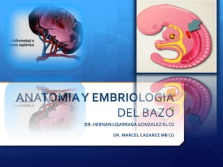 ANATOMIAY EMBRIOLOGIA
DEL BAZO
DR. HERNAN LIZARRAGA GONZALEZ R1 CG
DR. MARCEL CAZAREZ MB CG
 