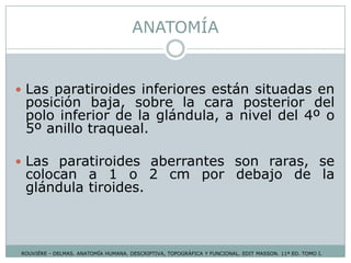 ANATOMÍA
 Las paratiroides inferiores están situadas en
posición baja, sobre la cara posterior del
polo inferior de la glándula, a nivel del 4º o
5º anillo traqueal.
 Las paratiroides aberrantes son raras, se
colocan a 1 o 2 cm por debajo de la
glándula tiroides.
ROUVIÉRE - DELMAS. ANATOMÍA HUMANA. DESCRIPTIVA, TOPOGRÁFICA Y FUNCIONAL. EDIT MASSON. 11ª ED. TOMO I.
 