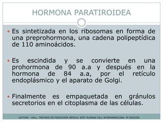 HORMONA PARATIROIDEA
GUYTON – HALL. TRATADO DE FISIOLOGÍA MÉDICA. EDIT McGRAW HILL INTERAMERICANA. 9ª EDICIÓN.
 Es sintetizada en los ribosomas en forma de
una preprohormona, una cadena polipeptídica
de 110 aminoácidos.
 Es escindida y se convierte en una
prohormona de 90 a.a y después en la
hormona de 84 a.a, por el retículo
endoplásmico y el aparato de Golgi.
 Finalmente es empaquetada en gránulos
secretorios en el citoplasma de las células.
 
