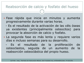 Reabsorción de calcio y fosfato del hueso
GUYTON – HALL. TRATADO DE FISIOLOGÍA MÉDICA. EDIT McGRAW HILL INTERAMERICANA. 9ª EDICIÓN.
 Fase rápida que inicia en minutos y aumenta
progresivamente durante varias horas.
- Es el resultado de la activación de las céls óseas
ya existentes (principalmente osteocitos) para
provocar la absorción de calcio y fosfato.
 La segunda fase es más lenta y requiere varios
días e incluso semanas para su desarrollo.
- Es el resultado de la proliferación de
osteoclastos, seguida de un aumento de la
reabsorción osteoclástica del propio hueso.
 