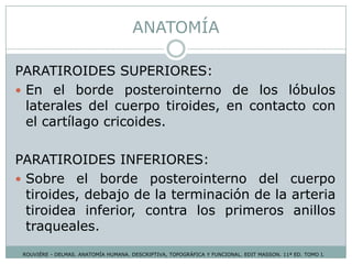 ANATOMÍA
PARATIROIDES SUPERIORES:
 En el borde posterointerno de los lóbulos
laterales del cuerpo tiroides, en contacto con
el cartílago cricoides.
PARATIROIDES INFERIORES:
 Sobre el borde posterointerno del cuerpo
tiroides, debajo de la terminación de la arteria
tiroidea inferior, contra los primeros anillos
traqueales.
ROUVIÉRE - DELMAS. ANATOMÍA HUMANA. DESCRIPTIVA, TOPOGRÁFICA Y FUNCIONAL. EDIT MASSON. 11ª ED. TOMO I.
 