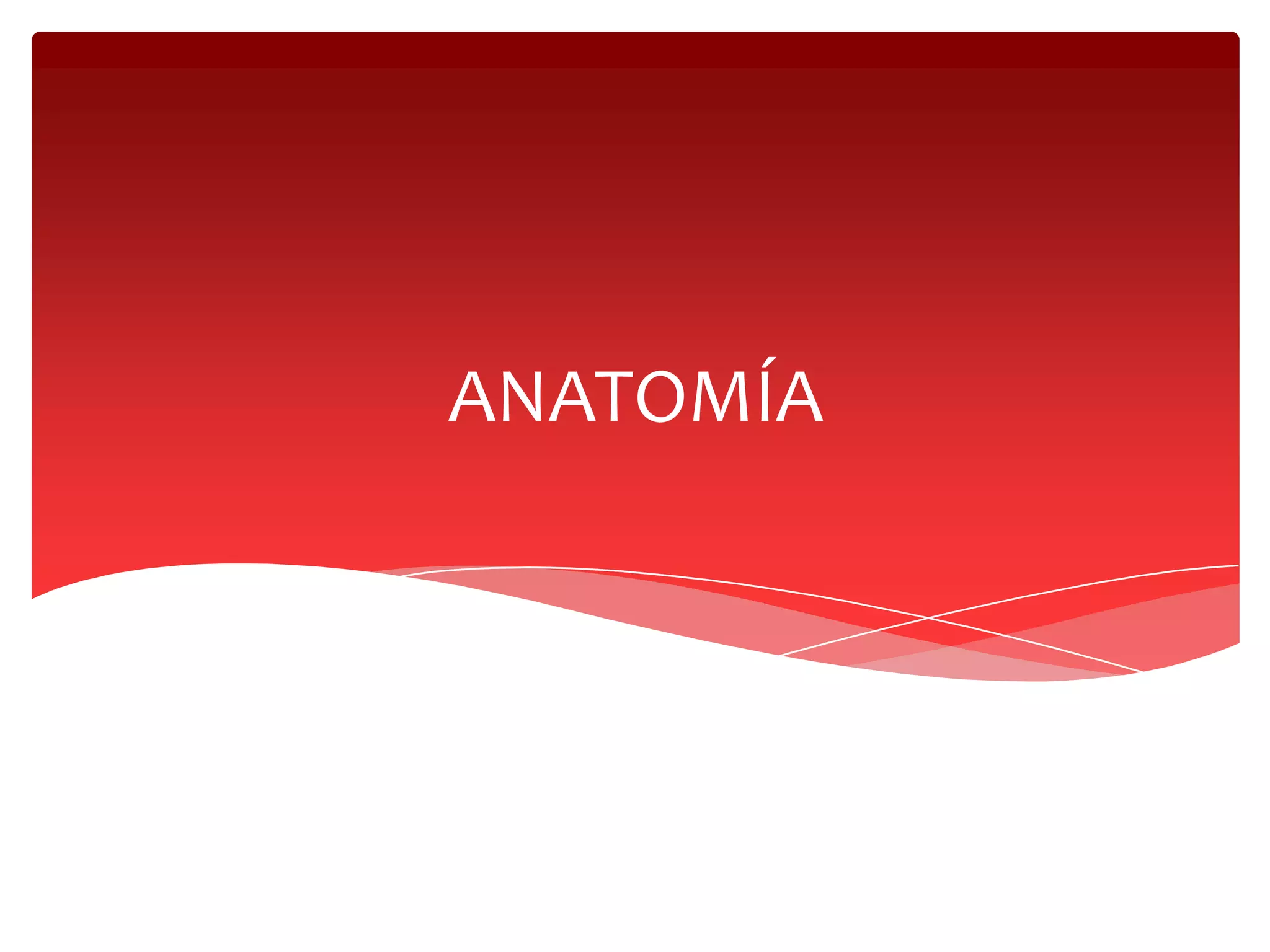 Anatomia y embriologia de recto y ano | PPTX