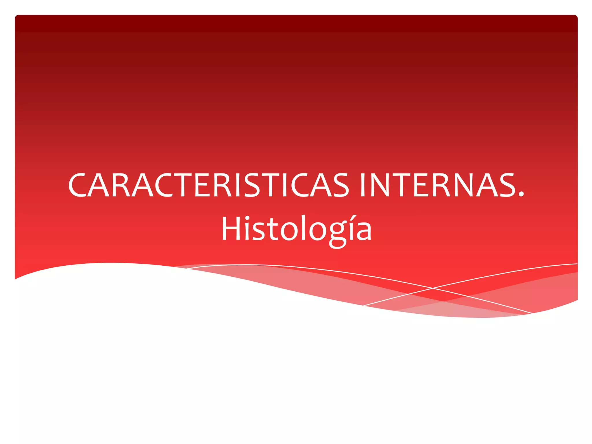 Anatomia y embriologia de recto y ano | PPTX