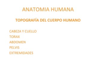 ANATOMIA HUMANA
TOPOGRAFÍA DEL CUERPO HUMANO
CABEZA Y CUELLO
TORAX
ABDOMEN
PELVIS
EXTREMIDADES
 