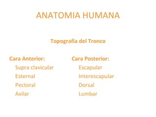 ANATOMIA HUMANA
Topografía del Tronco
Cara Anterior: Cara Posterior:
Supra clavicular Escapular
Esternal Interescapular
Pectoral Dorsal
Axilar Lumbar
 