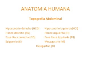 ANATOMIA HUMANA
Topografía Abdominal
Hipocondrio derecho (HCD) Hipocondrio izquierdo(HCI)
Flanco derecho (FD) Flanco izquierdo (FI)
Fosa Iliaca derecha (FID) Fosa Iliaca Izquierda (FII)
Epigastrio (E) Mesogastrio (M)
Hipogastrio (H)
 