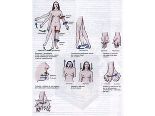 Anatomia y fisiología 01