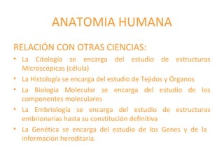 ANATOMIA HUMANA
RELACIÓN CON OTRAS CIENCIAS:
• La Citología se encarga del estudio de estructuras
Microscópicas (célula)
• La Histología se encarga del estudio de Tejidos y Órganos
• La Biología Molecular se encarga del estudio de los
componentes moleculares
• La Embriología se encarga del estudio de estructuras
embrionarias hasta su constitución definitiva
• La Genética se encarga del estudio de los Genes y de la
información hereditaria.
 