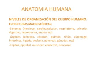 ANATOMIA HUMANA
NIVELES DE ORGANIZACIÓN DEL CUERPO HUMANO:
ESTRUCTURAS MACROSCÓPICAS:
-Sistemas (nervioso, cardiovasdcular, respiratorio, urinario,
digestivo, reproductor, endocrino)
-Órganos (cerebro, corazón, pulmón, riñón, estómago,
intestinos, hígado, vesícula, páncreas, gónadas, etc)
-Tejidos (epitelial, muscular, conectivo, nervioso)
 