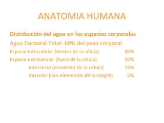 ANATOMIA HUMANA
Distribución del agua en los espacios corporales
Agua Corporal Total: 60% del peso corporal.
Espacio Intracelular (dentro de la célula) 40%
Espacio extracelular (fuera de la célula) 20%
Intersticio (alrededor de la célula) 15%
Vascular (con elementos de la sangre) 5%
 