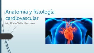 Anatomia y fisiología
cardiovascular
Mip Efrain Olalde Marroquin
 