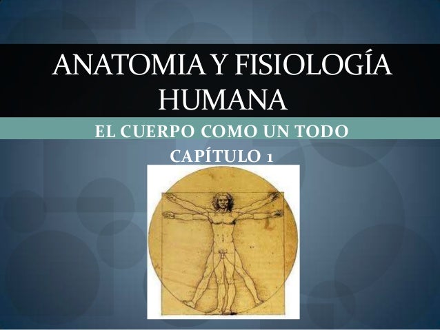 Anatomia humana i