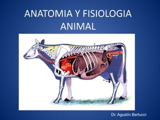 ANATOMIA Y FISIOLOGIA
ANIMAL
Dr. Agustín Bertucci
 