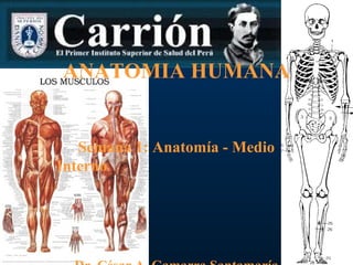 ANATOMIA HUMANA


   Semana 1: Anatomía - Medio
Interno
 