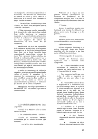 servir de palanca a los músculos para realizar el
movimiento. Otras funciones del futuro son las
de almacén de fósforo y calcio. Otro es la
localización de la médula ósea formadora de
sangre (interior del hueso).
∗ Este tejido va a estar formado por unas
células y una matriz. Los principales tipos de
células van a ser cuatro:
Células osteógenas: son las responsables
de la formación del tejido óseo (células madre).
Estas células osteógenas se encuentran
localizadas en la porción inferior del periostio o
envoltura de los huesos. Se localizan cercanos a
los vasos sanguíneos del interior. La
diferenciación de estas células dan los
osteoblastos.
Osteoblastos: van a ser los responsables
de la síntesis de la matriz ósea, principalmente
responsable de la síntesis de la osteocolágena.
Estas fibras van a formar laminillas óseas,
proporcionando características externas del
hueso. Van a producir fosfatasa alcalina, que
liberada al medio extracelular, va a provocar la
sedimentación de calcio y fósforo. Estas sales
de calcio y fósforo se depositan entre las fibras
impregnando el cemento que existe entre ellas.
Este cemento que pega las fibras está formado
por proteínas y polisacáridos.
Cuando los osteoblastos se encuentran
rodeados o envueltos de estas fibras calcificadas
reciben el nombre de osteocitos. En el
organismo hay constantemente un equilibrio
entre osteoblasto y osteocito. Este equilibrio se
mantiene por la acción de factores de
crecimiento internos y externos y su interacción
por el cuarto tipo de células: osteoplastos.
Osteoplastos: macrófagos procedentes de
los monocitos, cuya función es la fagocitosis de
elementos óseos.
FACTORES DE CRECIMIENTO ÓSEO
(Importante)
El hueso no es definitivo hasta los veinte
o veinticinco años.
∗ Van a ser factores internos y externos:
Factores de crecimiento Internos:
determinados por el sistema endocrino (por
hormonas).
1. La DTH o GH o somatotropina.
Producción en el hígado de unas
proteínas llamadas somatomedinas que
favorecen la proliferación de los
componentes del tejido óseo, va a tener su
actuación un carácter fundamental hasta los
18 años.
2. Tiroxina.
favorece el anabolismo proteico óseo,
facilitando esta tiroxina, la utilización de
glucosa como puente de energía y no las
proteínas.
3. Insulina.
Introduce glucosa en el interior de las
células óseas siendo la fuente de energía.
4. Glucocorticoides.
(cortisol, cortisona). Sintetizado en la
corteza suprarrenal, tienen una función
catabólica sobre las proteínas, lo que hace
que se inhiba el crecimiento óseo.
5. Sistema regulador de la calcemia.
Formado por hormonas calcio
reguladoras, van a intervenir cuatro
componentes:
a) El calcio, siendo básico en los
movimientos de contracción de los
músculos, sus niveles oscilan entre 8 y
10‘5 mg por 100ml de sangre.
Va a tener como función que estos
niveles de calcio se encuentren en
equilibrio en tanto que suban o que
bajen.
b) Vitamina D u hormona D: no
se proporciona en la alimentación sino
que se encuentra por debajo de la piel en
su forma inactiva como ergosterol y es
activada por la luz solar, una vez
activada pasa al hígado y riñones donde
finaliza la composición final de la forma
activada. Esta vitamina D activa ejerce
una función directa sobre la absorción de
calcio y fósforo en el tubo digestivo,
interviniendo también en su paso o
incorporación a la matriz ósea.
c) Calcitonina: es al principal
hormona hipocalcemial y va a intervenir
cuando se presentan aumentos de la
calcemia, va a tener una triple función:
• A nivel digestivo
disminuirá la absorción digestiva de
calcio.
• Absorción de calcio
al hueso: aumenta la absorción ósea
12
 