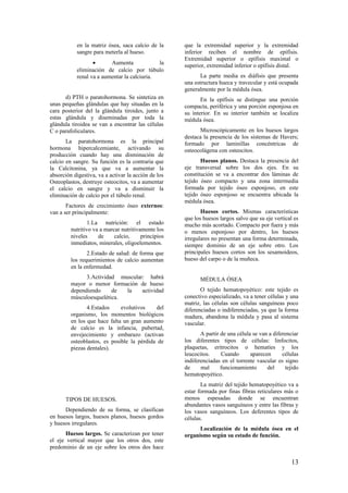 en la matriz ósea, saca calcio de la
sangre para meterla al hueso.
• Aumenta la
eliminación de calcio por túbulo
renal va a aumentar la calciuria.
d) PTH o paratohormona. Se sintetiza en
unas pequeñas glándulas que hay situadas en la
cara posterior del la glándula tiroides, junto a
estas glándula y diseminadas por toda la
glándula tiroidea se van a encontrar las células
C o parafoliculares.
La paratohormona es la principal
hormona hipercalcemiante, activando su
producción cuando hay una disminución de
calcio en sangre. Su función es la contraria que
la Calcitonina, ya que va a aumentar la
absorción digestiva, va a activar la acción de los
Osteoplastos, destruye osteocitos, va a aumentar
el calcio en sangre y va a disminuir la
eliminación de calcio por el túbulo renal.
Factores de crecimiento óseo externos:
van a ser principalmente:
1.La nutrición: el estado
nutritivo va a marcar nutritivamente los
niveles de calcio, principios
inmediatos, minerales, oligoelementos.
2.Estado de salud: de forma que
los requerimientos de calcio aumentan
en la enfermedad.
3.Actividad muscular: habrá
mayor o menor formación de hueso
dependiendo de la actividad
músculoesquelética.
4.Estados evolutivos del
organismo, los momentos biológicos
en los que hace falta un gran aumento
de calcio es la infancia, pubertad,
envejecimiento y embarazo (activan
osteoblastos, es posible la pérdida de
piezas dentales).
TIPOS DE HUESOS.
Dependiendo de su forma, se clasifican
en huesos largos, huesos planos, huesos gordos
y huesos irregulares.
Huesos largos. Se caracterizan por tener
el eje vertical mayor que los otros dos, este
predominio de un eje sobre los otros dos hace
que la extremidad superior y la extremidad
inferior reciben el nombre de epífisis.
Extremidad superior o epífisis maximal o
superior, extremidad inferior o epífisis distal.
La parte media es diáfisis que presenta
una estructura hueca y travecular y está ocupada
generalmente por la médula ósea.
En la epífisis se distingue una porción
compacta, periférica y una porción esponjosa en
su interior. En su interior también se localiza
médula ósea.
Microscópicamente en los huesos largos
destaca la presencia de los sistemas de Havers;
formado por laminillas concéntricas de
osteocolágena con osteocitos.
Huesos planos. Destaca la presencia del
eje transversal sobre los dos ejes. En su
constitución se va a encontrar dos láminas de
tejido óseo compacto y una zona intermedia
formada por tejido óseo esponjoso, en este
tejido óseo esponjoso se encuentra ubicada la
médula ósea.
Huesos cortos. Mismas características
que los huesos largos salvo que su eje vertical es
mucho más acortado. Compacto por fuera y más
o menos esponjoso por dentro, los huesos
irregulares no presentan una forma determinada,
siempre dominio de un eje sobre otro. Los
principales huesos cortos son los sesamoideos,
hueso del carpo o de la muñeca.
MÉDULA ÓSEA
O tejido hematopoyético: este tejido es
conectivo especializado, va a tener células y una
matriz, las células son células sanguíneas poco
diferenciadas o indiferenciadas, ya que la forma
madura, abandona la médula y pasa al sistema
vascular.
A partir de una célula se van a diferenciar
los diferentes tipos de células: linfocitos,
plaquetas, eritrocitos o hematíes y los
leucocitos. Cuando aparecen células
indiferenciadas en el torrente vascular es signo
de mal funcionamiento del tejido
hematopoyético.
La matriz del tejido hematopoyético va a
estar formada por finas fibras reticulares más o
menos espesadas donde se encuentran
abundantes vasos sanguíneos y entre las fibras y
los vasos sanguíneos. Los deferentes tipos de
células.
Localización de la médula ósea en el
organismo según su estado de función.
13
 