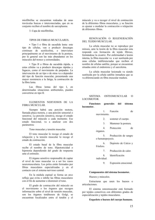 miofibrillas se encuentran rodeadas de unas
travéculas huecas e interconectadas, que en su
conjunto reciben el nombre de sarcoplasma.
3. Capa de miofibrillas.
TIPOS DE FIBRAS MUSCULARES.
• Tipo I o fibra de sacudida lenta: este
tipo de células, van a producir descargas
continuas de acetilcolina, e intervienen
principalmente en el movimiento de la postura,
por lo general son las más abundantes en los
músculos del tronco y extremidades.
• Tipo II o fibras de sacudida rápida, a
estas células va a producir descargas rápidas y
fugaces, como el movimiento de parpadeo. La
intervención de un tipo o de otras va a depender
del tipo de función muscular, presentando una
mayor resistencia a la fatiga, la contracción de
la fibra lenta.
Las fibras lentas del tipo I, en
determinadas situaciones ambientales, pueden
convertirse en tipo II.
ELEMENTOS NERVIOSOS DE LA
FIBRA MUSCULAR.
Siempre habrá una porción motora,
llamada placa motora, y una porción sensorial o
sensitiva. La porción sensitiva, recoge el estado
funcional del músculo a cada momento. Ese
estado funcional, va a analizar con dos
parámetros:
Tono muscular y tensión muscular.
El tono muscular lo recoge el estado de
relajación y la tensión muscular lo recoge el
estado de contracción.
El estado basal de la fibra muscular
recibe el nombre de tono. Hipotonicidad o
hipotonía dependiendo del grado de respuesta
ante el estímulo.
El órgano sensitivo responsable de captar
el nivel de tono muscular va a ser los vasos
neuromusculares. Los polos están formados por
fibras musculares especializadas y en el
contacto con el sistema nervioso central.
En la médula espinal se forma un arco
reflejo que evita o inhibe las fibras musculares
con el fin de aumentar o disminuir el tono.
El grado de contracción del músculo en
el movimiento o los órganos que recogen
información sobre el nivel de tensión muscular,
son los órganos tendinosos de Golgi, se
encuentran localizados entre el tendón y el
músculo y va a recoger el nivel de contracción
de la diferentes fibras musculares, y su función
es ajustar o modular la contracción o relajación
de diferentes fibras.
RENOVACIÓN O REGENERACIÓN
DEL TEJIDO MUSCULAR.
La célula muscular no se reproduce por
mitosis, ante la lesión de la fibra muscular esta
responde con formación de tejido fibroso,
formándose la cicatriz. Por enfermedad o lesión
interna, la fibra muscular va a ser sustituida por
unas células indiferenciadas que reciben el
nombre de células satélite, porque se encuentran
situadas entre el endomisio y el sarcolema.
La célula muscular lesionada va siendo
sustituida por la célula satélite inmadura que se
va diferenciando en fibra muscular madura.
SISTEMA OSTEOMUSCULAR O
LOCOMOTOR.
Funciones generales del sistema
locomotor.
1. Función de
movimiento.
2. sostener el cuerpo.
3. Mantener la postura.
4. Protección de
órganos.
5. Producción de sangre
o hematopoyesis.
6. Depósito de Calcio y
Fósforo.
7. Producción de calor.
8. Identificación
individual.
9. Expresión emocional.
Componentes del sistema locomotor.
Huesos y músculos.
Estructuras que unen los huesos o
articulaciones.
El sistema osteomuscular está formado
por tejidos conectivos con diferentes grados de
especialización y tejidos musculares.
Esqueleto o huesos del cuerpo humano.
15
 