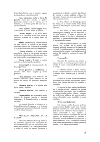 la cavidad orbitaria, y en su interior o espesor
contiene el seno maxilar (sinusitis).
Hueso cigomático, malar o hueso del
pómulo: hueso par, presenta la apófisis
cigomática anterior que se articula con el
temporal, va a formar parte del suelo de la
cavidad orbitaria.
Hueso lagrimal o hueso unguis: hueso
doble situado en la cara interna de la órbita.
Cornete inferior: es un hueso doble,
situado en la cara lateral de las fosas nasales y
articulado o unidos con el cornete medio del
etmoides.
Vómer: forma parte del tabique nasal en
su parte inferior, se articula en su porción
superior y posterior con el cuerpo del esfenoides
y en su porción inferior con la bóveda palatina.
• Suturas craneales: es la unión intima
entre hueso y hueso, se van uniendo las suturas
(osificando) hasta finalizar el crecimiento óseo
del recién nacido. Las principales suturas:
Sutura coronal o frontal: se estable
entre huesos frontal y ambos parietales.
Sutura sagital: la existente entre los dos
huesos parietales.
Sutura posterior o lambdoidea: la
existente entre hueso occipital y ambos
parietales.
• Las fontanelas: están formadas por
uniones conectivas (tejido conectivo de los
huesos del cráneo), las principales fontanelas
son:
Fontanela anterior: es la situada entre
hueso frontal y parietales.
Fontanela posterior: entre parietales y
occipital.
Fontanelas laterales: una superior y otra
inferior, la fontanela superior o fontanela
esfenoidal, y la fontanela inferior o fontanela
occipital.
La primera fontanela en cerrarse es la
fontanela posterior, la siguiente es la fontanela
esfenoidal, a continuación la fontanela occipital,
siendo la última la anterior.
PRINCIPALES REGIONES DE LA
CABEZA.
Intervienen diferentes huesos y dentro de
las principales regiones óseas encontramos las
fosas endocraneales, que son: fosa anterior, fosa
media, fosa posterior. Van a ser lugar de asiento
o donde se sitúen los lóbulos cerebrales, a
excepción de los lóbulos parietales. Es el lugar
de entrada y salida, mediante orificios de
estructuras basculo nerviosas, destacando entre
ellas la médula espinal.
La fosa anterior está formada por parte
del frontal, en la porción media, lámina de la
cribosa del etmoides para el paso de los nervios
olfatorios.
La fosa media, su límite anterior está
formado por el cuerpo y alas del esfenoides, y
su límite posterior, lo forma el peñasco del
temporal, destaca la silla turca, conteniendo la
hipófisis y el agujero carotídeo para el paso de
la arteria carotídea interna.
La fosa endocraneal posterior, su límite
anterior está formado por el peñasco del
temporal, su límite posterior por la escama del
occipital. En esta fosa destaca el agujero magno
y el canal basilar, situado entre la silla turca y el
agujero del occipital y contiene el tronco del
encéfalo.
Fosas nasales.
Presentan dos aberturas, una anterior y
otra posterior, la abertura posterior recibe el
nombre de coanas y comunica la fosa nasal con
la faringe.
La abertura anterior se llama ventanas
nasales, y están separadas las fosas nasales por
el tabique nasal, formado por el etmoides y
comer.
El techo de las fosas nasales está formado
de delante hacia atrás por los siguientes huesos:
hueso nasal, lámina horizontal del etmoides y
esfenoides.
El suelo de las fosas nasales está formado
por el maxilar superior y palatino. Las paredes
laterales de las fosas nasales están formadas por
el cornete superior medio e inferior y contiene
los orificios de salida de los senos frontales,
senos esfenoidales, senos etmoidales y senos
maxilares.
Órbita o cavidad orbital.
Está situada a ambos lados de las fosas
nasales contiene el globo ocular, tiene forma de
pirámide truncada con vértice interno. Forma
parte de la cara interna los huesos lagrimal o
unguis conteniendo el saco lagrimal. A
continuación la apófisis ascendente del maxilar
superior, una pequeña porción del etmoides y
esfenoides. El suelo está formado por maxilar y
hueso cigomático, la cara externa de la órbita lo
va a formar principalmente el hueso zigomático
o malar y el ala mayor del esfenoides.
17
 