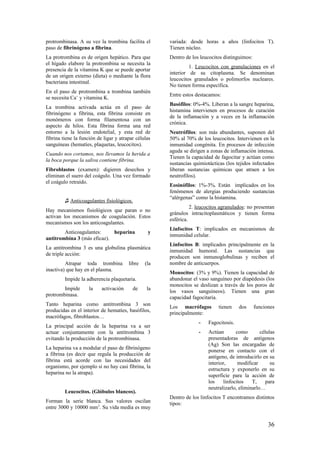 protrombinasa. A su vez la trombina facilita el
paso de fibrinógeno a fibrina.
La protrombina es de origen hepático. Para que
el hígado elabore la protrombina se necesita la
presencia de la vitamina K que se puede aportar
de un origen externo (dieta) o mediante la flora
bacteriana intestinal.
En el paso de protrombina a trombina también
se necesita Ca+
y vitamina K.
La trombina activada actúa en el paso de
fibrinógeno a fibrina, esta fibrina consiste en
monómeros con forma filamentosa con un
aspecto de hilos. Esta fibrina forma una red
entorno a la lesión endotelial, y esta red de
fibrina tiene la función de ligar y atrapar células
sanguíneas (hematíes, plaquetas, leucocitos).
Cuando nos cortamos, nos llevamos la herida a
la boca porque la saliva contiene fibrina.
Fibroblastos (examen): digieren desechos y
eliminan el suero del coágulo. Una vez formado
el coágulo retraído.
♫ Anticoagulantes fisiológicos.
Hay mecanismos fisiológicos que paran o no
activan los mecanismos de coagulación. Estos
mecanismos son los anticoagulantes.
Anticoagulantes: heparina y
antitrombina 3 (más eficaz).
La antitrombina 3 es una globulina plasmática
de triple acción:
Atrapar toda trombina libre (la
inactiva) que hay en el plasma.
Impide la adherencia plaquetaria.
Impide la activación de la
protrombinasa.
Tanto heparina como antitrombina 3 son
producidas en el interior de hematíes, basófilos,
macrófagos, fibroblastos…
La principal acción de la heparina va a ser
actuar conjuntamente con la antitrombina 3
evitando la producción de la protrombinasa.
La heparina va a modular el paso de fibrinógeno
a fibrina (es decir que regula la producción de
fibrina está acorde con las necesidades del
organismo, por ejemplo si no hay casi fibrina, la
heparina no la atrapa).
Leucocitos. (Glóbulos blancos).
Forman la serie blanca. Sus valores oscilan
entre 3000 y 10000 mm3
. Su vida media es muy
variada: desde horas a años (linfocitos T).
Tienen núcleo.
Dentro de los leucocitos distinguimos:
1. Leucocitos con granulaciones en el
interior de su citoplasma. Se denominan
leucocitos granulados o polimorfos nucleares.
No tienen forma específica.
Entre estos destacamos:
Basófilos: 0%-4%. Liberan a la sangre heparina,
histamina intervienen en procesos de curación
de la inflamación y a veces en la inflamación
crónica.
Neutrófilos: son más abundantes, suponen del
50% al 70% de los leucocitos. Intervienen en la
inmunidad congénita. En procesos de infección
aguda se dirigen a zonas de inflamación intensa.
Tienen la capacidad de fagocitar y actúan como
sustancias quimiotácticas (los tejidos infectados
liberan sustancias químicas que atraen a los
neutrofilos).
Eosinófilos: 1%-3%. Están implicados en los
fenómenos de alergias produciendo sustancias
“alérgenas” como la histamina.
2. leucocitos agranulados: no presentan
gránulos intracitoplasmáticos y tienen forma
esférica.
Linfocitos T: implicados en mecanismos de
inmunidad celular.
Linfocitos B: implicados principalmente en la
inmunidad humoral. Las sustancias que
producen son inmunoglobulinas y reciben el
nombre de anticuerpos.
Monocitos: (3% y 9%). Tienen la capacidad de
abandonar el vaso sanguíneo por diapédesis (los
monocitos se deslizan a través de los poros de
los vasos sanguíneos). Tienen una gran
capacidad fagocitaria.
Los macrófagos tienen dos funciones
principalmente:
- Fagocitosis.
- Actúan como células
presentadoras de antígenos
(Ag) Son las encargadas de
ponerse en contacto con el
antígeno, de introducirlo en su
interior, modificar su
estructura y exponerlo en su
superficie para la acción de
los linfocitos T, para
neutralizarlo, eliminarlo…
Dentro de los linfocitos T encontramos distintos
tipos:
36
 