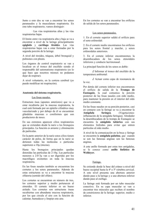 Junto a esto dos se van a encontrar los senos
paranasales y la musculatura respiratoria. En
este tubo respiratorio, vamos distinguir:
∙ Las vías respiratorias altas y las vías
respiratorias bajas.
El límite entre vía respiratoria alta y baja se va a
encontrar a nivel de la laringe principalmente
epiglotis y cartílago tiroides. Las vías
respiratorias bajas van a estar formadas por la
segunda porción de la laringe.
A nivel del tiroides, tráquea, árbol bronquial y
pulmones con pleura.
Los órganos de control respiratorio se van a
localizar en el tronco del encéfalo siendo el
responsable del automatismo respiratorio (es lo
que hace que nosotros mismos no podamos
dejar de respirar).
A nivel voluntario, en la corteza cerebral (yo
puedo modificar mi respiración).
Anatomía del sistema respiratorio.
Las fosas nasales.
Estructura ósea (apuntes anteriores) que va a
estar recubierta por la mucosa respiratoria, la
cual está formada por un epitelio cilíndrico muy
vascularizado y por debajo de él se encuentran
glándulas mucosas o coniformes que son
productores de moco.
En sus extremos aparecen cilios respiratorios
que se extienden desde la nariz a los bronquios
principales. La función es arrastre y eliminación
de partículas.
En la parte anterior de la nariz estos cilios tienen
carácter de pelos, de forma que en la nariz se
detienen todas las moléculas o partículas
superiores a 10μ (micras).
Hasta los bronquios principales quedan
detenidas las partículas de 2-10μ. Las partículas
menores a 2-0´3μ van a ser digeridas por los
macrófagos existentes en toda la mucosa
respiratoria.
En las fosas nasales también se encuentran los
cornetes y los senos paranasales. Además de
estas estructuras se va a encontrar la mucosa
olfatoria (sentido del olfato).
Los cornetes se encuentran en número de tres,
los cornetes superior y medio pertenecen al
etmoides. El cornete inferior es un hueso
aislado. Los cornetes son estructuras óseas
recubiertas con abundante mucosa respiratoria,
por los que circula el aire con la función de
calentar, humedecer y limpiar este aire.
En los cornetes se van a encontrar los orificios
de salida de los senos paranasales.
Los senos paranasales.
1. En el cornete superior saldrá el orificio para
el seno esfenoidal.
2. En el cornete medio encontramos los orificios
para los senos frontal y maxilar, y senos
esfenoidales anteriores.
3. En el cornete inferior encontraremos la
desembocadura de los senos etmoidales
inferiores y conducto lacrimonasal.
La principal función de los senos es doble:
♪ Informar al tronco del encéfalo de la
temperatura ambiental.
♪ Actuar como cajas de resonancia de
la voz.
Por detrás del cornete inferior nos encontramos
el orificio de salida de la Trompa de
Eustaquio, la cual comunica la porción
posterior de las fosas nasales con oído medio,
para mantener la presión en el interior del oído
medio constante.
En las fosas nasales en su porción posterior, casi
en contacto con la faringe se va a encontrar la
Amígdala faríngea. (Vegetaciones:
inflamación de la amígdala faríngea). Alrededor
la desembocadura de la trompa de Eustaquio se
encuentra la amígdala tubárica con sus
elementos linfoides para evitar que entren
partículas al oído medio.
A nivel de la comunicación en la boca y faringe
se encuentra la amígdala palatina, que cuando
se son las famosas anginas son las famosas
anginas.
A este anillo formado por estas tres amígdalas,
se le conoce como anillo linfático de
Weldeyer.
Faringe.
Se extiende desde la base del cráneo a nivel del
hueso occipital hasta la 4ª o 5ª vértebra cervical.
A este nivel presenta una abertura anterior
dando paso a la laringe y a una abertura inferior
dando paso al esófago.
La faringe está formada por un tubo muscular
conectivo. En su capa muscular se van a
encontrar tres músculos que reciben el nombre
de constrictores de la faringe: superior, medio e
inferior.
41
 