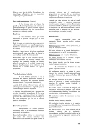 Hay un tercer tipo de células formadas por los
macrófagos alveolares, que se encuentran
dispersos por la pared alveolar.
Barrera hematogaseosa. (Examen)
Es la formada entre el alvéolo (la
pared) y el capilar pulmonar, está formada la
principalmente por el epitelio alveolar, espacio
intersticial formado por una fina capa de tejido
conjuntivo y endotelio capilar.
La pleura.
Es una membrana serosa que cubre
totalmente al pulmón, excepto por el hilio
pulmonar.
Está formada por una doble capa, una que se
adhiere perfectamente a la superficie pulmonar,
llamándose pleura visceral (porque está unida a
la víscera).
La pleura visceral a nivel del hilio se transforma
en una segunda capa, que rodea a la visceral y
que recibe el nombre de pleura parietal.
Entre ambas capas de tejido conjuntivo pleural,
queda delimitado un pequeño espacio que
contiene una pequeña cantidad de líquido
pleural contenido en la cavidad pleural, que
permite el deslizamiento de los pulmones en el
interior de la cavidad torácica sin apenas
rozamiento.
Vascularización del pulmón.
A nivel del hilio pulmonar se van a
encontrar las arterias pulmonares derecha e
izquierda procedentes del ventrículo derecho
(sangre venosa). Proporcionan al pulmón O2.
Además de la arteria pulmonar van a salir las
arterias pulmonares derecha e izquierda y van a
contener sangre arterial u oxigenada.
A nivel del hilio pulmonar se van a encontrar las
arterias bronquiales procedentes de la aorta
descendente y que proporcionan la irrigación
pulmonar. Las arterias bronquiales dan lugar a
las venas bronquiales que van a ir al corazón
para ser oxigenadas.
Inervación pulmonar.
Principalmente del sistema nervioso
vegetativo, tanto en su componente simpático
como en la parasimpático.
La doble finalidad del sistema va a proporcionar
por medio del sistema simpático una
broncodilatación (aumento de aporte de O2 al
sistema), mientras que el parasimpático
proporciona un aumento de las secreciones
respiratorias y una broncoconstricción, que
implica un aumento de la espiración.
Además de estos nervios, en todo el árbol
respiratorio vamos a encontrar receptores
sensitivos, estos receptores reciben el nombre de
receptores irritativos, también hay receptores de
la distensión (en porciones terminales), que se
estimulan ante el aumento de aire alveolar,
provocando una espiración forzada.
El mediastino.
Espacio comprendido entre los
pulmones. Límite superior ambos vértices
superiores.
El límite superior: ambos vértices pulmonares, a
nivel de la orquilla esternal.
El límite inferior es la cúpula diafragmática,
aproximadamente en la 10ª vértebra torácica.
El límite anterior: cara posterior del esternón.
Su límite posterior es la columna, cuerpos
vertebrales de la columna torácica.
Los límites laterales son la pleura parietal,
medial o pleura mediastino.
Al mediastino lo dividimos en dos
partes: superior e inferior.
El mediastino superior va desde la parte
superior del esternón (orquilla esternal) hasta
una línea horizontal que pasa por la base del
corazón.
La principal estructura es el timo, y además
vamos a encontrar el tronco braquiocefálico
derecho, la carótida común izquierda y
subclavia izquierda.
Por detrás vamos a encontrar la tráquea por
encima de la bifurcación traqueal y por detrás
de la tráquea está el esófago. Encontramos los
nervios vagos, trénicos y cardíacos.
El mediastino inferior lo separamos en tres
componentes:
Porción anterior, media y posterior.
El mediastino inferior anterior es el espacio
comprendido entre la cara posterior del esternón
y pericardio anterior.
La porción media va a estar ocupada por el
corazón envuelta por el pericardio,
encontrándose también la porción inferior de la
vena cava superior y la porción superior de la
cara inferior.
44
 
