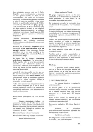 Los principales sensores están en el Bulbo
Raquídeo y en su porción anterior se encuentra
el área químico-sensible, es decir es un
quimiorreceptor, este centro está en contacto
directo con el líquido cefalo-raquídeo que rodea
a todo el tronco del encéfalo, y este centro
también es sensible a las variaciones de [H+
] (lo
que está muy relacionado con [O2] y [CO2]).
Ante las variaciones de [H+
]: si disminuye [H+
]
se puede producir alcalosis y esta alcalosis
estimula el área quimiosensible y se producen
variaciones respiratorias. Cuando aumenta [H+
]
entonces se produce acidosis y variaciones
respiratorias.
También encontramos mecanoreceptores
pulmonares, que producen receptores
irritativos, receptores de distensión y receptores
vasculares.
El tercer tipo de sensores: receptores que se
encuentran en los senos carotídeos y en los
cuerpos aórticos. Estos receptores ‫ىىك‬‫ى‬‫ى‬ los
carotídeos van a ser muy sensibles a las
reducciones de PO2, a los aumentos de PCO2 y a
las variaciones del pH.
El cuarto tipo de sensores: Receptores
articulares y musculares. Van a informar al
bulbo raquídeo sobre el nivel de contracción
muscular y esta información produce la
activación o inhibición de la respiración ósea
que si hay mucha actividad muscular, necesita
aumentar la respiración.
Además de estos sensores hay otro tipo que son
los sensores coordinados en la corteza cerebral,
en una zona que se llama sistema límbico, estos
sensores vana regular las emociones, sobretodo
las de placer y miedo estimulan e inhiben la
respiración (respectivamente).
Todos estos sensores vana a regular van a ir a
unos centros integrados que se van a llamar
centros respiratorios, es decir, de mantener en
automatismo respiratorio, y este automatismo se
regula por los sensores.
Estos centros respiratorios van a ser de tres
tipos:
-Centro respiratorio bulbar, se
encuentran situados en el bulbo en la zona
posterior en íntimo contacto con la formación
reticular (que es una red de neuronas con todas
sus sinapsis cuya finalidad es establecer las
situaciones de sueño y vigilia).
El sistema reticular activador ascendente.
En este centro bulbar hay dos tipos de neuronas:
-Grupo respiratorio dorsal.
-Grupo respiratorio Ventral.
El grupo respiratorio dorsal es le más
importante, es el responsable de establecer el
ritmo respiratorio, el ritmo básico de la
respiración (inspiración espiración).
En condiciones normales la inspiración tiene
una duración de dos segundos y la espiración de
2”×4”.
El grupo respiratorio ventral solo interviene en
la respiración forzada, solo cuando aumentan las
necesidades de O2. Aumenta principalmente el
tiempo de la espiración. (Aunque también en la
inspiración).
Junto a este grupo respiratorio ventral está el
centro aprensivo, se excita en situaciones
cuando la respiración es mínima, cuando hay
una situación de shock. Reproducen grandes
bocanadas de la inspiración.
El centro aprensivo actúa sobre el grupo
respiratorio ventral.
También está el centro neumotáctico o
neumotáxico. La función de este centro es
modular el ritmo respiratorio, es decir modular
la función del grupo respiratorio dorsal.
Efectores.
El principal efector: nervio frénico,
que es el nervio del diafragma, además del
nervio frénico van a estar los nervios que
inervan a los músculos respiratorios accesorios
(abdominales, intercostales…).
3. SISTEMA DIGESTIVO.
Los sistemas digestivo y respiratorio
están muy unidos.
Su función global es la de proporcionar
nutrientes sólidos y líquidos al cuerpo. Además
de la función nutritiva, tiene una función
excretora, va a formar parte del sistema
excretor.
Como en todo sistema, está formado por un
aparato (aparato digestivo) y por los sistemas
reguladores (neuroendocrino).
Los centros reguladores del sistema digestivo
son:
-Centrales, se encuentran
principalmente en el hipotálamo, regulados por
estructuras del córtex cerebral.
-Periféricos, son locales.
En el hipotálamo se va a encontrar un centro de
la saciedad y otro centro del apetito.
48
 