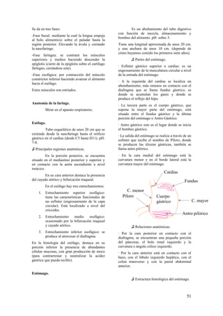 Se da en tres fases:
-Fase bucal: mediante la cual la lengua empuja
al bolo alimenticio sobre el paladar hasta la
región posterior. Elevando la úvula y cerrando
la nasofaringe.
-Fase faríngea: se contraen los músculos
superiores y medios haciendo descender la
epiglotis (cierre de la epiglotis sobre el cartílago
faríngeo, cerrándose este).
-Fase esofágica: por contracción del músculo
constrictor inferior haciendo avanzar el alimento
hacia el esófago.
Estos músculos son estriados.
Anatomía de la faringe.
Mirar en el aparato respiratorio.
Esófago.
Tubo esquelético de unos 20 cm que se
extiende desde la nasofaringe hasta el orificio
gástrico en el cardias (desde C5 hasta D11). pH:
7-8.
♫ Principales regiones anatómicas.
En la porción posterior, se encuentra
situado en el mediastino posterior y superior y
en contacto con la aorta ascendiente a nivel
torácico.
En su cara anterior destaca la presencia
del cayado aórtico y bifurcación traqueal.
En el esófago hay tres estrechamientos:
1. Estrechamiento superior esofágico:
tiene las características funcionales de
un esfínter (engrosamiento de la capa
circular). Está localizado a nivel del
cricoides.
2. Estrechamiento medio esofágico:
ocasionado por la bifurcación traqueal
y cayado aórtico.
3. Estrechamiento inferior esofágico: se
produce al atravesar el diafragma.
En la histología del esófago, destaca en su
porción inferior la presencia de abundantes
células mucosas, con gran producción de moco
(para contrarrestar y neutralizar la acidez
gástrica que pueda recibir).
Estómago.
Es un abultamiento del tubo digestivo
con función de mezcla, almacenamiento y
bombeo del alimento. pH: sobre 3.
Tiene una longitud aproximada de unos 20 cm.
y una anchura de unos 10 cm. (depende de
cómo hayamos comido los primeros siete años).
♫ Partes del estómago.
∙ Esfínter gástrico superior o cardias: es un
engrosamiento de la musculatura circular a nivel
de la entrada del estómago.
∙ A la izquierda del cardias se localiza un
abombamiento, más omenos en contacto con el
diafragma que se llama fundus gástrico, es
donde se acumulan los gases y donde se
produce el reflejo del hipo.
∙ La tercera parte es el cuerpo gástrico, que
supone la mayor parte del estómago, está
situado entre el fundus gástrico y la última
porción del estómago o Antro Gástrico.
∙ Antro gástrico este es el lugar donde se inicia
el bombeo gástrico.
∙ La salida del estómago se realiza a través de un
esfínter que recibe el nombre de Píloro, donde
se producen las úlceras gástricas, también se
llama antro pilórico.
∙ En la cara medial del estómago está la
curvatura menor y en el borde lateral está la
curvatura mayor del estómago.
♫ Relaciones anatómicas.
∙ Por la cara posterior en contacto con el
diafragma, se encuentran una pequeña porción
del páncreas, el bolo renal izquierdo y la
curvatura o ángulo cólico izquierdo.
∙ Por la cara anterior está en contacto con el
bazo, con el lóbulo izquierdo hepático, con el
colon transverso y con la pared abdominal
anterior.
♫ Estructura histológica del estómago.
Fundus
Antro pilórico
Cardias
Píloro Cuerpo
gástrico
C. menor
C. mayor
51
 