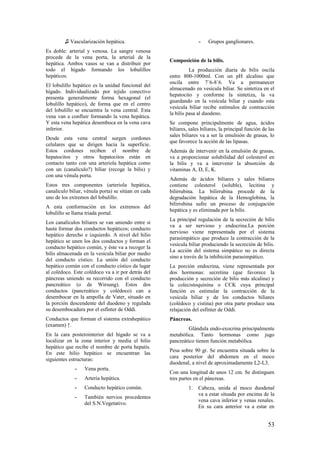 ♫ Vascularización hepática.
Es doble: arterial y venosa. La sangre venosa
procede de la vena porta, la arterial de la
hepática. Ambos vasos se van a distribuir por
todo el hígado formando los lobulillos
hepáticos.
El lobulillo hepático es la unidad funcional del
hígado. Individualizado por tejido conectivo
presenta generalmente forma hexagonal (el
lobulillo hepático), de forma que en el centro
del lobulillo se encuentra la vena central. Esta
vena van a confluir formando la vena hepática.
Y esta vena hepática desemboca en la vena cava
inferior.
Desde esta vena central surgen cordones
celulares que se dirigen hacia la superficie.
Estos cordones reciben el nombre de
hepatocitos y otros hepatocitos están en
contacto tanto con una arteriola hepática como
con un (canalículo?) biliar (recoge la bilis) y
con una vénula porta.
Estos tres componentes (arteriola hepática,
canalículo biliar, vénula porta) se sitúan en cada
uno de los extremos del lobulillo.
A esta conformación en los extremos del
lobulillo se llama triada portal.
Los canalículos biliares se van uniendo entre si
hasta formar dos conductos hepáticos; conducto
hepático derecho e izquierdo. A nivel del hilio
hepático se unen los dos conductos y forman el
conducto hepático común, y éste va a recoger la
bilis almacenada en la vesícula biliar por medio
del conducto cístico. La unión del conducto
hepático común con el conducto cístico da lugar
al colédoco. Este colédoco va a ir por detrás del
páncreas uniendo su recorrido con el conducto
pancreático (o de Wirsung). Estos dos
conductos (pancreático y colédoco) can a
desembocar en la ampolla de Vater, situado en
la porción descendente del duodeno y regulada
su desembocadura por el esfínter de Oddi.
Conductos que forman el sistema extrahepático
(examen) ↑.
En la cara posterointerior del hígado se va a
localizar en la zona interior y media el hilio
hepático que recibe el nombre de porta hepatis.
En este hilio hepático se encuentran las
siguientes estructuras:
- Vena porta.
- Arteria hepática.
- Conducto hepático común.
- También nervios procedentes
del S.N.Vegetativo.
- Grupos ganglionares.
Composición de la bilis.
La producción diaria de bilis oscila
entre 800-1000ml. Con un pH alcalino que
oscila entre 7´6-8´6. Va a permanecer
almacenado en vesícula biliar. Se sintetiza en el
hepatocito y conforme la sintetiza, la va
guardando en la vesícula biliar y cuando esta
vesícula biliar recibe estímulos de contracción
la bilis pasa al duodeno.
Se compone principalmente de agua, ácidos
biliares, sales biliares, la principal función de las
sales biliares va a ser la emulsión de grasas, lo
que favorece la acción de las lipasas.
Además de intervenir en la emulsión de grasas,
va a proporcionar solubilidad del colesterol en
la bilis y va a intervenir la absorción de
vitaminas A, D, E, K.
Además de ácidos biliares y sales biliares
contiene colesterol (soluble), lecitina y
bilirrubina. La bilirrubina procede de la
degradación hepática de la Hemoglobina, la
bilirrubina sufre un proceso de conjugación
hepática y es eliminada por la bilis.
La principal regulación de la secreción de bilis
va a ser nervioso y endocrina.La porción
nervioso viene representada por el sistema
parasimpático que produce la contracción de la
vesícula biliar produciendo la secreción de bilis.
La acción del sistema simpático no es directa
sino a través de la inhibición parasimpático.
La porción endocrina, viene representada por
dos hormonas: secretina (que favorece la
producción y secreción de bilis más alcalina) y
la colecistoquinina o CCK cuya principal
función es estimular la contracción de la
vesícula biliar y de los conductos biliares
(colédoco y cistina) por otra parte produce una
relajación del esfínter de Oddi.
Páncreas.
Glándula endo-exocrina principalmente
metabólica. Tanto hormonas como jugo
pancreático tienen función metabólica.
Pesa sobre 90 gr. Se encuentra situada sobre la
cara posterior del abdomen en el moco
duodenal, a nivel de aproximadamente L2-L3.
Con una longitud de unos 12 cm. Se distinguen
tres partes en el páncreas.
1. Cabeza, unida al moco duodenal
va a estar situada por encima de la
vena cava inferior y venas renales.
En su cara anterior va a estar en
53
 