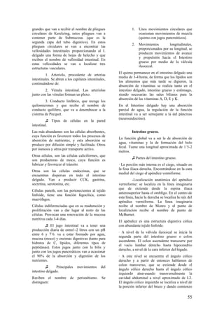 grandes que van a recibir el nombre de pliegues
circulares de Kerckring, estos pliegues van a
contener parte de Submucosa. (que es la
segunda capa del tubo digestivo). En estos
pliegues circulares se van a encontrar las
vellosidades intestinales proporcionando al I.
delgado una forma de hojas de helecho y que
reciben el nombre de vellosidad intestinal. En
estas vellosidades se van a localizar tres
estructuras vasculares.
1. Arteriola, procedente de arterias
intestinales. Se abren a los capilares intestinales,
continuándose de:
2. Vénula intestinal. Las arteriolas
junto con las vénulas forman un plexo.
3. Conducto linfático, que recoge los
quilomicrones y que recibe el nombre de
conducto quilífero, que va a desembocar a la
cisterna de Pecquet.
♫ Tipos de células en la pared
intestinal.
Las más abundantes son las células absorbentes,
cuya función es favorecer todos los procesos de
absorción de nutrientes, y esta absorción se
produce por difusión simple y facilitada. Otros
por ósmosis y otros por transporte activo.
Otras células, son las células caliciformes, que
son productoras de moco, cuya función es
lubricar y favorecer el tránsito.
Otras son las células endocrinas, que se
encuentran dispersas en todo el intestino
delgado. Van a producir CCK, gastrina,
secretina, serotonina, etc.
Células paneth, son las pertenecientes al tejido
linfoide, tiene una función fagocítica, como
macrófagos.
Células indiferenciadas que en su maduración y
proliferación van a dar lugar al resto de las
células. Provocan una renovación de la mucosa
nutritiva cada 3-4 días.
♫ El jugo intestinal va a tener una
producción diaria de entre1-2 litros con un pH
entre 6 y 7´6. va a estar formado por agua,
mucina (moco) y enzimas digestivas (tanto para
hidratos de C, lípidos, diferentes tipos de
peptidasas). Estos jugos junto con la bilis y
junto con los jugos pancreáticos van a ocasionar
el 90% de la absorción y digestión de los
nutrientes.
♫ Principales movimientos del
intestino delgado.
Reciben el nombre de peristaltismo. Se
distinguen:
1. Unos movimientos circulares que
ocasionan movimientos de mezcla
(quimo con jugos pancreáticos).
2. Movimientos longitudinales,
proporcionados por su longitud, se
producen movimientos de avance
y propulsión hacia el Intestino
grueso por medio de la válvula
ileocecal.
El quimo permanece en el intestino delgado una
media de 3-4 horas, de forma que los lípidos son
los alimentos que más tarde se digieren, la
absorción de vitaminas se realiza tanto en el
intestino delgado, intestino grueso y estómago,
siendo necesarias las sales biliares para la
absorción de las vitaminas A, D, E y K.
En el Intestino delgado hay una absorción
parcial de agua, la regulación de la función
intestinal va a ser semejante a la del páncreas
(neuroendocrino).
Intestino grueso.
La función global va a ser la de absorción de
agua, vitaminas y la de formación del bolo
fecal. Tuene una longitud aproximada de 1´5-2
metros.
♫ Partes del intestino grueso.
· La porción más interna es el ciego, situado en
la fosa iliaca derecha. Encontrándose en la cara
medial del ciego el apéndice vermiforme.
-Localización anatómica del apéndice
vermiforme: se localiza en la línea imaginaria
que de extiende desde la espina iliaca
anterosuperior hasta el ombligo. En el centro de
esta línea, hacia la derecha se localiza la raíz del
apéndice vermiforme. La línea imaginaria
recibe el nombre de Monro y el punto de
localización recibe el nombre de punto de
McBurnet.
El apéndice es una estructura digestiva cólica
con abundante tejido linfoide.
· A nivel de la válvula ileocecal se inicia la
segunda parte del intestino grueso o colon
ascendente. El colon ascendente transcurre por
el vacío lumbar derecho hasta hipocondrio
derecho, a nivel de la cara inferior del hígado.
· A este nivel se encuentra el ángulo cólico
derecho y a partir de entonces hablamos de
colon transverso, que se extiende desde el
ángulo cólico derecho hasta el ángulo cólico
izquierdo atravesando transversalmente la
cavidad abdominal a nivel aproximado de L2.
El ángulo cólico izquierdo se localiza a nivel de
la porción inferior del brazo y dando comienzo
55
 