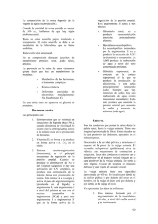 La composición de la orina depende de la
ingesta de agua (su producción).
Cuando la cantidad de orina emitida es menor
de 500 cc., hablamos de que hay algún
problema renal.
Tiene un color amarillo pajizo tendiendo a
transparente. El color amarillo se debe a un
metabolito de la bilirrubina, que se llama
urobilina.
Tiene cierto olor amoniacal.
En su composición destacan desechos de
metabolismo proteico: urea, ácido úrico,
amonio.
La presencia en la orina de estos elementos
quiere decir que hay un metabolismo de
proteínas.
- Metabolitos de las hormonas,
o hormonas complejas.
- Restos celulares.
- Deferentes cantidades de
electrolitos principalmente:
Na, bicarbonato, Cl.
En una orina sana no aparecen ni glucosa ni
proteínas.
Hormonas renales.
Las principales son:
1. Eritropoyetina que se estimula en
situaciones de hipoxia (bajo PO2),
cuando disminuye la viscosidad. Si
ocurre esto la eritropoyetina activa
a la médula ósea en la producción
de hematíes.
2. Vitamina D, se forma o se produce
en forma activa (vit. D3), en el
riñón.
3. Sistema renina-angiotensina
(interesante), es el principal
mecanismo de regulación de la
presión arterial. Cuando se
produce la disminución de Na o
del volumen sanguíneo o hay una
activación del S.N. simpático, se
produce una estimulación de la
mácula densa con producción de
renina. Esta renina va a la sangre y
activa el paso de angiotensinógeno
(producida en el hígado) a
angiotensina I, esta angiotensina I
a nivel del pulmón se une con el
enzima convertidor de
angiotensina (ECA) y pasa esta
angiotensina I a angiotensina II
que es la forma activa de la
regulación de la presión arterial.
Esta angiotensina II actúa a tres
niveles:
- Glomérulo renal, va a
producir vasoconstricción
arteriolar, principalmente
aferente.
- Hipotálamo-neurohipófisis.
La neurohipófisis estimulada
por la angiotensina II va a
producir la secreción de ADH
(a-diuretina) o vasopresina. La
ADH produce la reabsorción
de agua a nivel del tubo
contorneado proximal.
- Glándula suprarrenal, en
concreto en la corteza
suprarrenal el la que se
produce la producción de
aldosterona, y esta actúa
principalmente reteniendo
sodio. Siempre que hay
retención de sodio, hay una
reabsorción de agua (como
mecanismo secundario). Todo
esto produce que aumente la
presión arterial por aumento
de sodio y aumento de
volumen (más agua).
Uréteres.
Son los conductos que portan la orina desde la
pelvis renal, hasta la vejiga urinaria. Tiene una
longitud aproximada de 30cm. Están situados en
la cara posterior del abdomen, apoyados en el
músculo psoas.
Descienden a la cavidad pélvica y atraviesan el
espesor de la pared de la vejiga urinaria. El
recorrido infraparietal (palabrarara) sirve de
válvula con mecanismos de contracción y
relajación. Estos dos conductos o uréteres can a
desembocar en el trígono vesical situado en la
cara posterior de la vejiga urinaria. En torno a
este trígono vesical de localiza el músculo
detrusor y que regula el vaciado vesical.
La vejiga urinaria tiene una capacidad
aproximada de 400 cc. Se localiza por detrás de
la sínfisis púbica y por delante del recto en el
hombre, en la mujer el útero está por delante y
por detrás de la vejiga el recto.
Ve a presentar dos tipos de esfínteres:
1. Uno interno, formado por el
engrosamiento de la musculatura
circular, a nivel del cuello vesical
y es involuntario.
59
 