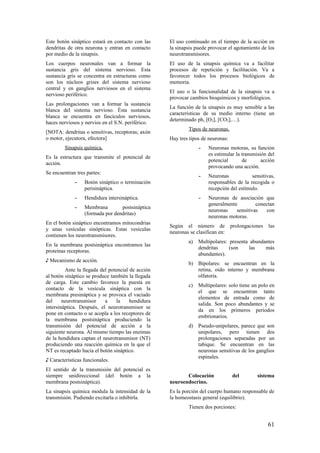 Este botón sináptico estará en contacto con las
dendritas de otra neurona y entran en contacto
por medio de la sinapsis.
Los cuerpos neuronales van a formar la
sustancia gris del sistema nervioso. Esta
sustancia gris se concentra en estructuras como
son los núcleos grises del sistema nervioso
central y en ganglios nerviosos en el sistema
nervioso periférico.
Las prolongaciones van a formar la sustancia
blanca del sistema nervioso. Ésta sustancia
blanca se encuentra en fascículos nerviosos,
haces nerviosos y nervios en el S.N. periférico.
[NOTA: dendritas o sensitivas, receptoras; axón
o motor, ejecutora, efectora]
Sinapsis química.
Es la estructura que transmite el potencial de
acción.
Se encuentran tres partes:
- Botón sináptico o terminación
perisináptica.
- Hendidura intersináptica.
- Membrana postsináptica
(formada por dendritas)
En el botón sináptico encontramos mitocondrias
y unas vesículas sinópticas. Estas vesículas
contienen los neurotransmisores.
En la membrana postsináptica encontramos las
proteínas receptoras.
♪ Mecanismo de acción.
Ante la llegada del potencial de acción
al botón sináptico se produce también la llegada
de carga. Este cambio favorece la puesta en
contacto de la vesícula sináptica con la
membrana presináptica y se provoca el vaciado
del neurotransmisor a la hendidura
intersináptica. Después, el neurotransmisor se
pone en contacto o se acopla a los receptores de
la membrana postsináptica produciendo la
transmisión del potencial de acción a la
siguiente neurona. Al mismo tiempo las enzimas
de la hendidura captan el neurotransmisor (NT)
produciendo una reacción química en la que el
NT es recaptado hacia el botón sináptico.
♪ Características funcionales.
El sentido de la transmisión del potencial es
siempre unidireccional (del botón a la
membrana postsináptica).
La sinapsis química modula la intensidad de la
transmisión. Pudiendo excitarla o inhibirla.
El uso continuado en el tiempo de la acción en
la sinapsis puede provocar el agotamiento de los
neurotransmisores.
El uso de la sinapsis química va a facilitar
procesos de repetición y facilitación. Va a
favorecer todos los procesos biológicos de
memoria.
El uso o la funcionalidad de la sinapsis va a
provocar cambios bioquímicos y morfológicos.
La función de la sinapsis es muy sensible a las
características de su medio interno (tiene un
determinado ph, [O2], [CO2],…).
Tipos de neuronas.
Hay tres tipos de neuronas:
- Neuronas motoras, su función
es estimular la transmisión del
potencial de acción
provocando una acción.
- Neuronas sensitivas,
responsables de la recogida o
recepción del estímulo.
- Neuronas de asociación que
generalmente conectan
neuronas sensitivas con
neuronas motoras.
Según el número de prolongaciones las
neuronas se clasifican en:
a) Multipolares: presenta abundantes
dendritas (son las más
abundantes).
b) Bipolares: se encuentran en la
retina, oido interno y membrana
olfatoria.
c) Multipolares: solo tiene un polo en
el que se encuentran tanto
elementos de entrada como de
salida. Son poco abundantes y se
da en los primeros periodos
embrionarios.
d) Pseudo-unipolares, parece que son
unipolares, pero tienen dos
prolongaciones separadas por un
tabique. Se encuentran en las
neuronas sensitivas de los ganglios
espinales.
Colocación del sistema
neuroendocrino.
Es la porción del cuerpo humano responsable de
la homeostasis general (equilibrio).
Tienen dos porciones:
61
 