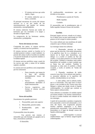 - El sistema nervioso que actúa
rápido y fugaz.
- El sistema endocrino que es
lento y sostenido.
El principal mecanismo de acción del sistema
nervioso va a ser por medio de los
neurotransmisores que pueden ser aminas,
aminoácidos, neuropolipéptidos.
El sistema endocrino fuciona por medio de
hormonas que son secretadas a la sangre y
llevados al órgano diana.
La composición de las hormonas: aminas,
aminoácidos y polipéptidos.
Partes del sistema nervioso.
Comprende dos partes, el sistema nervioso
central y el sistema nervioso periférico.
El sistema nervioso central se localiza en la
cavidad posterior (cráneo y canal medular). La
porción del cráneo recibe el nombre de encéfalo
y la porción localizada en la porción medular es
la médula espinal.
El sistema nervioso periférico surge a partir de
los nervios que salen y entran de ka médula
espinal y encéfalo.
Es sistema nervioso periférico está comprendido
por tres estructuras:
- Pares craneales, que surgen de
la base del encéfalo
(principalmente tronco del
encéfalo).
- Nervio raquídeos,
principalmente destinados al
tejido osteomuscular.
- Nervios vegetativos, que
forman el sistema nervioso
vegetativo.
Partes del encéfalo.
Encontramos tres grandes porciones:
1. Prosencéfalo, parte más superior
2. Mesencéfalo, porción media.
3. Rombencéfalo, parte más
posterior.
El prosencéfalo tiene dos partes:
· Una porción más externa: el
telencéfalo que está formado por ganglios de la
base y hemisferios cerebrales.
· El diencéfalo.
El romboencéfalo encontramos que está
dividido en tres partes.
· Protuberancia o puente de Varolio.
· Bulbo raquídeo.
· Cerebelo.
El mesencéfalo más la protuberancia más el
bulbo raquídeo forman el tronco del encéfalo.
Encéfalo.
Principal órgano nervioso, situado en el cráneo.
En el adulto tiene un peso aproximado de 1450
gramos (el de la mujer es menos pesado).
Va a estar cubierto por una membrana de tejido
conjuntivo que se llaman meninges.
Las meninges tienen tres cubiertas:
1. Duramadre: presenta un mayor
grosor que las otras dos. Esta unida íntimamente
a la superficie ósea. Se va a introducir en el
interior de la fisura ínter hemisférica, este
tabique va a recibir el nombre de Haz del
cerebro, y en la parte posterior en la línea media
del occipital. También se introduce entre ambos
hemisferios del cerebelo, es decir cerebelo que
se llama hoz del cerebelo. También la
duramadre se sitúa entre el cerebelo y lóbulo
occipital, y recibe el nombre de “tienda del
cerebelo”.
2. Piamadre: membrana de tejido
conectivo muy fina. Es la cubierta más interna y
se encuentra adherida en la superficie del
cerebro, introduciéndose en sus fisuras.
3. entre ambas, está la cubierta media,
que es el aracnoides. Esta capa tiene el mayor
grosor y una cavidad en ella. Forma como unos
tabiques o pilares por donde circula el líquido
cefalorraquídeo. La cavidad que contiene se
llama espacio subaracnoideo.
Estas cubiertas se extienden a la médula espinal
con mismo nombre y las mismas características.
Es decir el cordón medular está rodeado de las
tres meninges.
A partir de la aracnoides se produce evaginación
de la aracnoides a través de la duramadre y en el
seno del hueso, esta evaginación presenta
muchos capilares sanguíneos y se llama
granulaciones aracnoideas. Estas granulaciones
aracnoideas es el lugar de drenaje venoso del
líquido cefalorraquídeo.
(Líquido cefalorraquídeo→s.venoso)
estableciéndose aquí la barrera sangre/Líquido
cefalorraquídeo.
62
 