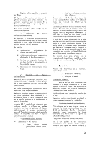 Líquido cefalorraquídeo y sustancia
cerebral.
El líquido cefalorraquídeo sintetiza en los
plexos coroideos que están formados por
capilares sanguíneos que por medio de la
barrera sangre /encéfalo va a producir y filtrar el
líquido cefalorraquídeo.
Los plexos coroideos están situados en los
ventrículos cerebrales.
♫ Composición del líquido
cefalorraquídeo (examen)
Es semejante a la del plasma. No tiene células y
tiene mayores concentraciones de sodio, cloro y
magnesio y tiene bajas concentraciones de
potasio, glucosa, calcio y proteínas.
La función:
1. Sostenimiento y amortiguación del
sistema nervioso central.
2. Colabora con el sistema sanguíneo en
eliminación de desechos orgánicos.
3. Produce una integración funcional del
encéfalo (facilita la comunicación de
las moléculas rápidas)
4. Proporciona un microambiente iónico
local.
♫ Recorrido del líquido
cefalorraquídeo:
Origen en plexos coroideos (V. cerebrales), más
exactamente en los ventrículos laterales de aquí
va al tercer ventrículo que está situado entre
ambos tálamos.
El líquido cefalorraquídeo desemboca al tercer
ventrículo por el agujero de monro.
Del tercer ventrículo pasa por un conducto hacia
el cuarto ventrículo. Este conducto es el
conducto de Silvio. El cuarto ventrículo se sitúa
en la porción posterior de la protuberancia y
anterior del cerebelo.
A partir del 4º ventrículo se encuentran unos
orificios laterales o orificios de lusdika,
mediante los que se extiende el líquido
cefalorraquídeo al espacio subaracnoideo
cerebral. También presenta un orificio central o
orificio de magendie que lleva el líquido
cefalorraquídeo a la médula.
♫ Vascularización del encéfalo:
Va a ser tributaria de dos arterias:
- Arteria carótida interna,
procede de la carótida común.
- Arterias vertebrales, proceden
de la subclavia.
Estas arterias vertebrales (derecha e izquierda)
se van a unir en la línea media a nivel del canal
basilar del occipital, por delante de la
protuberancia.
La arteria que forman al unirse se llama arteria
basilar. Por otra parte la carótida interna se
introduce en la cavidad encefálica por medio del
agujero carotídeo del peñasco del temporal. A
este nivel se divide en dos ramas: arteria
cererbral anterior y arteria cerebral media.
A nivel de la fisura interhemisférica las dos
arterias cerebrales anteriores se comunican por
medio de la arteria comunicante anterior. De la
arteria basilar va a bifurcarse en dos arterias que
son las arterias cerebrales posterior izquierda y
derecha, de esta arteria cerebral posterior sale
otra arteria que comunica con la carótida interna
que se llama arteria comunicante posterior.
En conjunto todas estas arterias van a
proporcionar la irrigación del encéfalo y recibe
en conjunto el nombre de polígono de Willis.
Telencéfalo.
Porción más desarrollada en el mamífero.
Consta de dos partes:
- Hemisferios cerebrales.
- Ganglios de la base.
Hemisferios cerebrales.
Son la porción más voluminosa del
encéfalo y se hayan contenidos en la fosa
anterior y media del cráneo, por encima de la
Tienda del cerebelo y por encima de ésra está en
contacto con el hueso occipital.
Los hemisferios van a contener los ganglios de
la base.
La corteza o córtex (porción más superficial) y
en su espesor encontramos los ventrículos.
Principales cisuras de los hemisferios.
Principalmente en la cara externa, vamos a
encontrar la cisura interhemisférica, que los
divide en hemisferio derecho y hemisferio
izquierdo. Luego encontramos la cisura
transversa o de Silvio, que va a separar los
lóbulos frontal y parietal.
La siguiente es la cisura lateral o de Rolando.
En la cara parietal de los hemisferios
encontramos dos cisuras: cisura parieto-
occipital, que separa los lóbulos occipital y
63
 