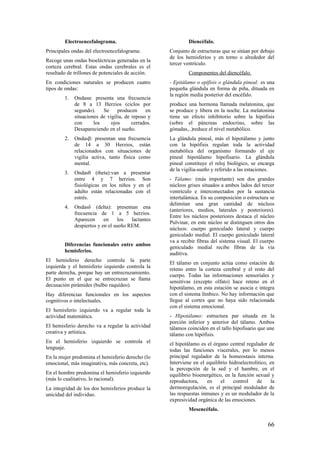 Electroencefalograma.
Principales ondas del electroencefalograma:
Recoge unas ondas bioeléctricas generadas en la
corteza cerebral. Estas ondas cerebrales es el
resultado de trillones de potenciales de acción.
En condiciones naturales se producen cuatro
tipos de ondas:
1. Ondasα: presenta una frecuencia
de 8 a 13 Herzios (ciclos por
segundo). Se producen en
situaciones de vigilia, de reposo y
con los ojos cerrados.
Desapareciendo en el sueño.
2. Ondasβ: presentan una frecuencia
de 14 a 30 Herzios, están
relacionados con situaciones de
vigilia activa, tanto física como
mental.
3. Ondasθ (theta):van a presentar
entre 4 y 7 herzios. Son
fisiológicas en los niños y en el
adulto están relacionadas con el
estrés.
4. Ondasδ (delta): presentan ena
frecuencia de 1 a 5 herzios.
Aparecen en los lactantes
despiertos y en el sueño REM.
Diferencias funcionales entre ambos
hemisferios.
El hemisferio derecho controla la parte
izquierda y el hemisferio izquierdo controla la
parte derecha, porque hay un entrecruzamiento.
El punto en el que se entrecruzan se llama
decusación pirámides (bulbo raquídeo).
Hay diferencias funcionales en los aspectos
cognitivos o intelectuales.
El hemisferio izquierdo va a regular toda la
actividad matemática.
El hemisferio derecho va a regular la actividad
creativa y artística.
En el hemisferio izquierdo se controla el
lenguaje.
En la mujer predomina el hemisferio derecho (lo
emocional, más imaginativa, más concreta, etc).
En el hombre predomina el hemisferio izquierdo
(más lo cualitativo, lo racional).
La integridad de los dos hemisferios produce la
unicidad del individuo.
Diencéfalo.
Conjunto de estructuras que se sitúan por debajo
de los hemisferios y en torno o alrededor del
tercer ventrículo.
Componentes del diencéfalo.
- Epitálamo o epífisis o glándula pineal: es una
pequeña glándula en forma de piña, dituada en
la región media posterior del encéfalo.
produce una hormona llamada melatonina, que
se produce y libera en la noche. La melatonina
tiene un efecto inhibitorio sobre la hipófisis
(sobre el páncreas endocrino, sobre las
gónadas,..)reduce el nivel metabólico.
La glándula pineal, más el hipotálamo y junto
con la hipófisis regulan toda la actividad
metabólica del organismo formando el eje
pineal hipotálamo hipofisario. La glándula
pineal constituye el reloj biológico, se encarga
de la vigilia-sueño y referido a las estaciones.
- Tálamo: (más importante) son dos grandes
núcleos grises situados a ambos lados del tercer
ventrículo e interconectados por la sustancia
intertalámica. En su composición o estructura se
delimitan una gran cantidad de núcleos
(anteriores, medios, laterales y posteriores).
Entre los núcleos posteriores destaca el núcleo
Pulvinar, en este núcleo se distinguen otros dos
núcleos: cuerpo geniculado lateral y cuerpo
geniculado medial. El cuerpo geniculado lateral
va a recibir fibras del sistema visual. El cuerpo
geniculado medial recibe fibras de la vía
auditiva.
El tálamo en conjunto actúa como estación de
reteno entre la corteza cerebral y el resto del
cuerpo. Todas las informaciones sensoriales y
sensitivas (excepto olfato) hace reteno en el
hipotálamo, en esta estación se asocia e integra
con el sistema límbico. No hay información que
llegue al cortex que no haya sido relacionada
con el sistema emocional.
- Hipotálamo: estructura par situada en la
porción inferior y anterior del tálamo. Ambos
tálamos coinciden en el tallo hipofisario que une
tálamo con hipófisis.
el hipotálamo es el órgano central regulador de
todas las funciones viscerales, por lo menos
principal regulador de la homeostasis interna.
Interviene en el equilibrio hidroelectrolítico, en
la percepción de la sed y el hambre, en el
equilibrio bioenergético, en la función sexual y
reproductora, en el control de la
dermoregulación, es el principal modulador de
las respuestas inmunes y es un modulador de la
expresividad orgánica de las emociones.
Mesencéfalo.
66
 