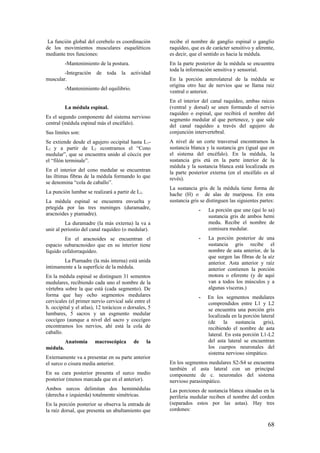 La función global del cerebelo es coordinación
de los movimientos musculares esqueléticos
mediante tres funciones:
-Mantenimiento de la postura.
-Integración de toda la actividad
muscular.
-Mantenimiento del equilibrio.
La médula espinal.
Es el segundo componente del sistema nervioso
central (médula espinal más el encéfalo).
Sus límites son:
Se extiende desde el agujero occipital hasta L1-
L2 y a partir de L2 econtramos el “Cono
medular”, que se encuentra unido al cóccix por
el “filón terminale”.
En el interior del cono medular se encuentran
las íltimas fibras de la médula formando lo que
se denomina “cola de caballo”.
La punción lumbar se realizará a partir de L2.
La médula espinal se encuentra envuelta y
prtegida por las tres meninges (duramadre,
aracnoides y piamadre).
La duramadre (la más externa) la va a
unir al periostio del canal raquídeo (o medular).
En el aracnoides se encuentran el
espacio subaracnoideo que en su interior tiene
líquido cefalorraquídeo.
La Piamadre (la más interna) está unida
íntimamente a la superficie de la médula.
En la médula espinal se distinguen 31 sementos
medulares, recibiendo cada uno el nombre de la
vértebra sobre la que está (cada segmento). De
forma que hay ocho segmentos medulares
cervicales (el primer nervio cervical sale entre el
h. occipital y el atlas), 12 torácicos o dorsales, 5
lumbares, 5 sacros y un esgmento medular
coccígeo (aunque a nivel del sacro y coccígeo
encontramos los nervios, ahí está la cola de
caballo.
Anatomía macroscópica de la
médula.
Externamente va a presentar en su parte anterior
el surco o cisura media anterior.
En su cara posterior presenta el surco medio
posterior (menos marcada que en el anterior).
Ambos surcos delimitan dos hemimédulas
(derecha e izquierda) totalmente simétricas.
En la porción posterior se observa la entrada de
la raíz dorsal, que presenta un abultamiento que
recibe el nombre de ganglio espinal o ganglio
raquídeo, que es de carácter sensitivo y aferente,
es decir, que el sentido es hacia la médula.
En la parte posterior de la médula se encuentra
toda la información sensitiva y sensorial.
En la porción anterolateral de la médula se
origina otro haz de nervios que se llama raiz
ventral o anterior.
En el interior del canal raquídeo, ambas raices
(ventral y dorsal) se unen formando el nervio
raquídeo o espinal, que recibirá el nombre del
segmento medular al que pertenece, y que sale
del canal raquídeo a través del agujero de
conjunción intervertebral.
A nivel de un corte trasversal encontramos la
sustancia blanca y la sustancia grs (igual que en
el sistema del encéfalo). En la médula, la
sustancia gris etá en la parte interior de la
médula y la sustancia blanca está localizada en
la parte posterior externa (en el encéfalo es al
revés).
La sustancia gris de la médula tiene forma de
hache (H) o de alas de mariposa. En esta
sustancia gris se distinguen las siguientes partes:
- La porción que une (qui lo sa)
sustancia gris de ambos hemi
medu. Recibe el nombre de
comisura medular.
- La porción posterior de una
sustancia gris recibe el
nombre de asta anterior, de la
que surgen las fibras de la aíz
anterior. Asta anterior y raíz
anterior contienen la porción
motora o eferente (y de aquí
van a todos los músculos y a
algunas vísceras.)
- En los segmentos medulares
comprendidos entre L1 y L2
se encuentra una porción gris
localizada en la porción lateral
(de la sustancia gris),
recibiendo el nombre de asta
lateral. En esta porción L1-L2
del asta lateral se encuentran
los cuerpos neuronales del
sistema nervioso simpático.
En los segmentos medulares S2-S4 se encuentra
también el asta lateral con un principal
componente de c. neuronales del sistema
nervioso parasimpático.
Las porciones de sustancia blanca situadas en la
periferia medular reciben el nombre del corden
(separados estos por las astas). Hay tres
cordones:
68
 