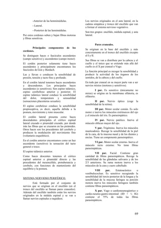 -Anterior de las henmimédulas.
- Lateral.
- Posterior de las hemimédulas.
Por estos cordones suben y bajan fibras motoras
y fibras sensitivas.
Principales componentes de los
cordones.
Se distinguen haces o fascículos ascendentes
(campo sensitivo) y ascendentes (campo motor).
El cordón posterior solamente tiene haces
ascendentes y principalmete encontramos los
fascículos de Gon y Burdach.
Las y llevan o conducen la sensibilidad de
presión, tensión y tacto fino y profundo.
En el cordón lateral tenemos haces ascendentes
y descendentes. Los principales haces
ascendentes (o sensitivos). Son espino talámico,
espino cerebelloso anterior y posterior. El
espino talámico lateral conduce la sensibilidad
del dolor, temperatura y sensualidad
(sensaciones placenteras sexuales).
El espino cerebeloso conduce la sensibilidad
propioceptiva, es decir, aquella debida a la
postura, movimiento y tono muscular.
El cordón lateral presenta como haces
descendentes principales el córtico espinal
lateral cruzado o piramidal cruzado, por donde
irán las fibras que se cruzaron en las pirámides.
Otros haces son los procedentes del cerebelo y
producen la modulación del movimiento fino
(voluntario esquelético).
En el cordón anterior encontramos como un haz
ascendente (sensitivo) la sensación del tacto
general o tosco.
El espino talámico anterior.
Como haces descentes tenemos el córtico
espinal anterior o piramidal directo y las
procedentes del mesencéfalo, protuberancia y
cerebelo, con funciones de manteniiento del
equilibrio y la postura.
SISTEMA NERVIOSO PERIFÉRICO.
Está formado por el conjunto de
nervios que se originan en el encéfalo (en el
tronco del encéfalo se llaman pares craneales).
Además del encéfalo también están los nervios
originados en la médula espinal y se van a
llamar nervios espinales o raquídeos.
Los nervios originados en el asta lateral, en la
cadena simpática y tronco del encéfalo que van
a formar el sistema nervioso vegetativo.
Son tres grupos: encéfalo, médula espinal, y asta
lateral.
Pares craneales.
Se originan en la base del encéfalo y más
concretamente en el tronco del encéfalo excepto
el I y II.
Sus fibras se van a distribuie por la cabeza y el
cuello y el único que se extiende más allá del
cuello es el X par craneal o Vago.
La función principal es recoger la sensibilidad y
producir la actividad de los órganos de los
sentidos, de la cabeza y del cuello.
En todo par craneal en su mayor parte van a ser
nervios mixtos (motores y sensitivos).
I par. Es sensitivo (únicamente no
mixto) se origina en la membrana olfatoria, es
olfatorio.
II par. Nervio óptico (coge la
sensibilidad de la retina).
III par. Motor ocular común. Es solo
motor e inerva los músculos extrínsecos del ojo
y el músculo del iris. Es parasimpático.
IV par. Nervio patético. Inerva al
músculo oblicuo mayor del ojo.
V par. Trigémino. Inerva los músculos
masticadores. Recoge la sensibilidad de la piel
de la cara, de la mucosa nasal y de los dientes y
encías. Tiene un componente parasimpático.
VI par. Motor ocular externo. Inerva el
músculo recto externo. No tiene fibras
parasimpáticas.
VII par. Facial. Contiene gran
cantidad de fibras parasimpáticos. Recoge la
sensibilidad de las glándulas salivares y de los
2/3 anteriores. Su rama motora inerva a los
músculos de la cara y cuero cabelludo.
VIII par. Estatoacústico o
vestíbulococlear. Es sensitivo recogiendo la
sensibilidad del tercio posterior de la lengua y la
sensibilidad de la mucosa faríngea su porción
motora inerva los músculos faríngeos también
contiene fibras parasimpáticos.
X par. Vago o cardioneumogástrico o
cardio-neumo-gastro-intestinal (ID + ½ IG)
contiene el 75% de todas las fibras
parasimpáticos.
69
 