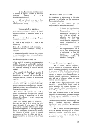 XI par. También parasimpático, recibe
el nombre de espinal. S motor e inerva los
músculos trapecio y ECM
(externocleidomastoideo).
XII par. Músculo motor que se llama
hipogloso. Inerva los musculos extrínsecos e
intrínsecos de la lengua.
Nervios espinales o raquídeos.
Son motores-esqueléticos, inervan al sistema
locomotor de todo el organismo menos de la
cabeza.
Es un nervio mixto. Está formado por 31 pares
de nervios raquideos.
(31 para el lado derecho y 31 para el lado
izquierdo).
Estos 31 se distribuyen en 8 cervicales, 12
torácicos o dorsales, 5 lumbares, 5 sacros y un
coccígeo.
A la salido de la médula estos nervios espinales
se van a unir alguno entre si formando plexos
nerviosos espinales.
Los principales plexos nerviosos son:
-Plexo cervical, formado por nervios raquídeos
de C1 a C4. recoge la sensibilidad y produce el
movimiento (sensitivo motor) de los músculos
del cuello, del hombro y de parte de la región
torácica.
-Plexo braquial, está formado por la unión de
los nervios C3 – D1 (D3). Recoge la
sensibilidad y producir el movimiento de
músculos torácicos y músculos de la extremidad
superior.
-Nervios intercostales o torácicos, se forman
desde D1 hasta D12. recoge la sensibilidad y
produce movimiento de los músculos del tórax y
abdomen y recogen la sensibilidad de la piel del
tórax, abdomen y pelvis.
-Plexo lumbar, está formado por L1-L4. el
nervio más importante de este plexo es el nervio
femoral. Recoge la sensibilidad de la parte
inferior del abdomen y la parte superior del
miembro inferior.
-Plexo sacro, formado por L5-S4, el nervio L5
interconecta o une el plexo lumbar con plexo
sacro: formando el plexo sacro. Este último
plexo inerva el miembro inferior siendo sus dos
principales componentes, el nervio pudendo que
recoge la sensibilidad del área genital e inerva
los esfínteres de vejiga y recto. El segundo
componente es el nervio ciático que inerva a
prácticamente toda la pierna y pie y parte del
muslo.
SISTEA NERVIOSO VEGETATIVO.
es el responsable de modular todas las funciones
contenidas o realizadas por las estructuras
abdominales y torácicas.
Lo realiza por dos sistemas, que son
colaboradores en la homeostasis orgánica.
- El sistema nervioso simpático,
que va a utilizar como
neurotransmisor la
noradrenalina (en su 80%). El
otro 20% es utilizada la
adrenalina (que tiene más
potencia). Las fibras del
sistema nervioso simpático de
llaman noradrenérgicas o
adrenérgicas.
- El sistema
nerviosoparasimpático va a
utilizar como neurotransmisor
la acetilcolina. Las fibras del
sistema nervioso
parasimpático reciben el
nombre de colinérgicas.
Partes del sistema nervioso vegetativo.
En el sistema nervioso simpático,
recibe el nombre de toraco-lumbar, porque la
porción simpática se encuentra en el asta lateral
de la médula de Th1 a L2. además de esta, está
formado por la cadena simpática que es un
conjunto de ganglios situados lateralmente a la
columna vertebral, formado por 20 ganglios a
cada lado de la columna, unidos por unos
cordones (cordón simpático).
Esta doble cadena (20 ganglios) se unen a nivel
del cóccix por el ganglio impar. Desde la
cadena simpática los nervios simpáticos se
dirigen a ganglios más o menos abundantes y
distribuidos por todos los sistemas orgánicos.
Otras fibras no hacen sinopsis en los ganglios
periféricos. Estas fibras que no hacen sisnápsis
se llaman nervios esplácnidos e inervan las
vísceras directamente.
Un tercer tipo de fibras son musculadas por los
nervios espinales, inervando glándulas
sudoríparas, vasos periféricos (prinipalmente
músculo).
En el sistema nervioso parasimpático
recibe la segunda denominación de cráneo-
sacra (pares craneales y hasta lateral sacra).
Parasimpático: cráneo, III, V, VII, IX, XI, X
(los impares y el vago)
70
 