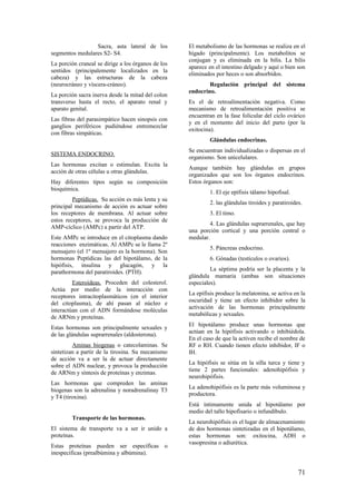 Sacra, asta lateral de los
segmentos medulares S2- S4.
La porción craneal se dirige a los órganos de los
sentidos (principalemente localizados en la
cabeza) y las estructuras de la cabeza
(neurocráneo y víscera-cráneo).
La porción sacra inerva desde la mitad del colon
transverso hasta el recto, el aparato renal y
aparato genital.
Las fibras del parasimpático hacen sinopsis con
ganglios periféricos pudiéndose entremezclar
con fibras simpáticas.
SISTEMA ENDOCRINO.
Las hormonas excitan o estimulan. Excita la
acción de otras células u otras glándulas.
Hay diferentes tipos según su composición
bioquímica.
Peptídicas. Su acción es más lenta y su
principal mecanismo de acción es actuar sobre
los receptores de membrana. Al actuar sobre
estos receptores, se provoca la producción de
AMP-cíclico (AMPc) a partir del ATP.
Este AMPc se introduce en el citoplasma dando
reacciones enzimáticas. Al AMPc se le llama 2º
mensajero (el 1º mensajero es la hormona). Son
hormonas Peptídicas las del hipotálamo, de la
hipófisis, insulina y glucagón, y la
parathormona del paratiroides. (PTH).
Esteroideas. Proceden del colesterol.
Actúa por medio de la interacción con
receptores intracitoplasmáticos (en el interior
del citoplasma), de ahí pasan al núcleo e
interactúan con el ADN formándose moléculas
de ARNm y proteínas.
Estas hormonas son principalmente sexuales y
de las glándulas suprarrenales (aldosterona).
Aminas biogenas o catecolaminas. Se
sintetizan a partir de la tirosina. Su mecanismo
de acción va a ser la de actuar directamente
sobre el ADN nuclear, y provoca la producción
de ARNm y síntesis de proteínas y enzimas.
Las hormonas que compreden las aminas
biogenas son la adrenalina y noradrenalinay T3
y T4 (tiroxina).
Transporte de las hormonas.
El sistema de transporte va a ser ir unido a
proteínas.
Estas proteínas pueden ser específicas o
inespecíficas (prealbúmina y albúmina).
El metabolismo de las hormonas se realiza en el
hígado (principalmente). Los metabolitos se
conjugan y es eliminada en la bilis. La bilis
aparece en el intestino delgado y aquí o bien son
eliminados por heces o son absorbidos.
Regulación principal del sistema
endocrino.
Es el de retroalimentación negativa. Como
mecanismo de retroalimentación positiva se
encuentran en la fase folicular del ciclo ovárico
y en el momento del inicio del parto (por la
oxitocina).
Glándulas endocrinas.
Se encuentran individualizadas o dispersas en el
organismo. Son unicelulares.
Aunque también hay glándulas en grupos
organizados que son los órganos endocrinos.
Estos órganos son:
1. El eje epífisis tálamo hipofisal.
2. las glándulas tiroides y paratiroides.
3. El timo.
4. Las glándulas suprarrenales, que hay
una porción cortical y una porción central o
medular.
5. Páncreas endocrino.
6. Gónadas (testículos o ovarios).
La séptima podría ser la placenta y la
glándula mamaria (ambas son situaciones
especiales).
La epífisis produce la melatonina, se activa en la
oscuridad y tiene un efecto inhibidor sobre la
activación de las hormonas principalmente
metabólicas y sexuales.
El hipotálamo produce unas hormonas que
actúan en la hipófisis activando o inhibiédola.
En el caso de que la activen recibe el nombre de
RF o RH. Cuando tienen efecto inhibidor, IF o
IH.
La hipófisis se sitúa en la silla turca y tiene y
tiene 2 partes funcionales: adenohipófisis y
neurohipófisis.
La adenohipófisis es la parte más voluminosa y
productora.
Está íntimamente unida al hipotálamo por
medio del tallo hipofisario o infundíbulo.
La neurohipófisis es el lugar de almacenamiento
de dos hormonas sintetizadas en el hipotálamo,
estas hormonas son: oxitocina, ADH o
vasopresina o adiurética.
71
 