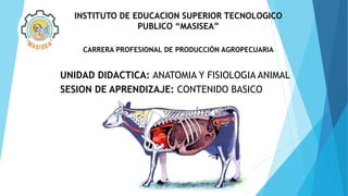 INSTITUTO DE EDUCACION SUPERIOR TECNOLOGICO
PUBLICO “MASISEA”
CARRERA PROFESIONAL DE PRODUCCIÓN AGROPECUARIA
UNIDAD DIDACTICA: ANATOMIA Y FISIOLOGIA ANIMAL
SESION DE APRENDIZAJE: CONTENIDO BASICO
 