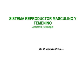 SISTEMA REPRODUCTOR MASCULINO Y
FEMENINO
Anatomía y fisiología
Dr. R. Alberto Peña H.
 