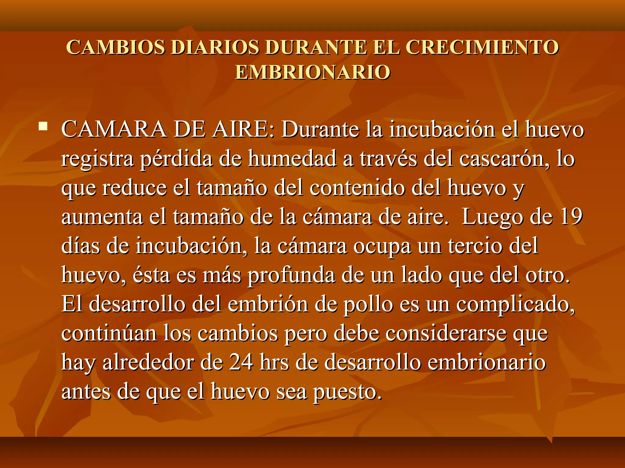 CAMBIOS DIARIOS DURANTE EL CRECIMIENTOCAMBIOS DIARIOS DURANTE EL CRECIMIENTO
EMBRIONARIOEMBRIONARIO
 CAMARA DE AIRE: Durante la incubación el huevoCAMARA DE AIRE: Durante la incubación el huevo
registra pérdida de humedad a través del cascarón, loregistra pérdida de humedad a través del cascarón, lo
que reduce el tamaño del contenido del huevo yque reduce el tamaño del contenido del huevo y
aumenta el tamaño de la cámara de aire. Luego de 19aumenta el tamaño de la cámara de aire. Luego de 19
días de incubación, la cámara ocupa un tercio deldías de incubación, la cámara ocupa un tercio del
huevo, ésta es más profunda de un lado que del otro.huevo, ésta es más profunda de un lado que del otro.
El desarrollo del embrión de pollo es un complicado,El desarrollo del embrión de pollo es un complicado,
continúan los cambios pero debe considerarse quecontinúan los cambios pero debe considerarse que
hay alrededor de 24 hrs de desarrollo embrionariohay alrededor de 24 hrs de desarrollo embrionario
antes de que el huevo sea puesto.antes de que el huevo sea puesto.
 