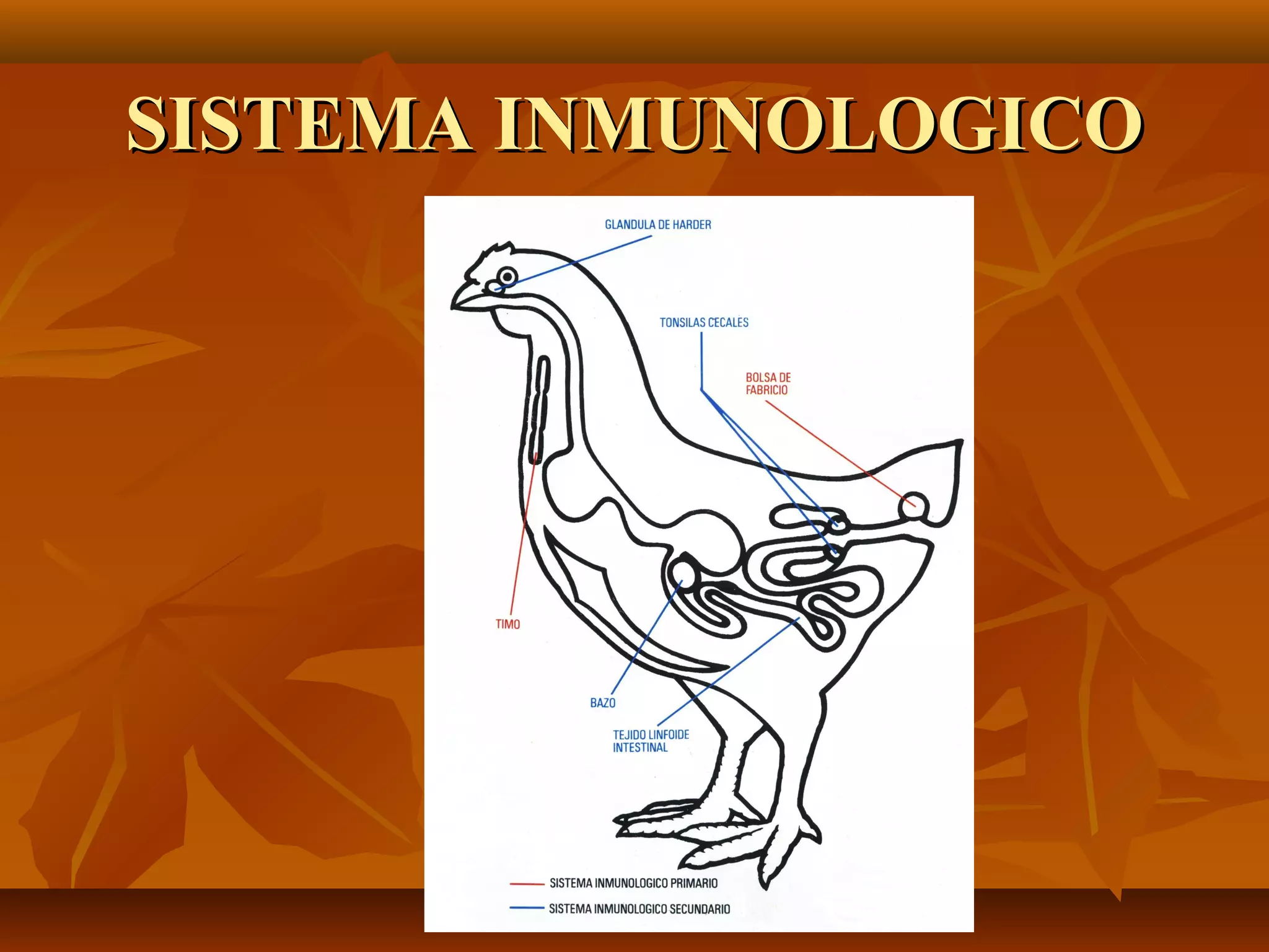SISTEMA INMUNOLOGICOSISTEMA INMUNOLOGICO
 