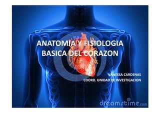 ANATOMIA Y FISIOLOGIA
BASICA DEL CORAZON
VANESSA CARDENAS
COORD. UNIDAD DE INVESTIGACION
 