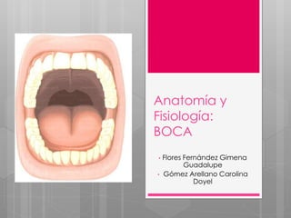 Anatomía y
Fisiología:
BOCA
• Flores Fernández Gimena
Guadalupe
• Gómez Arellano Carolina
Doyel
 