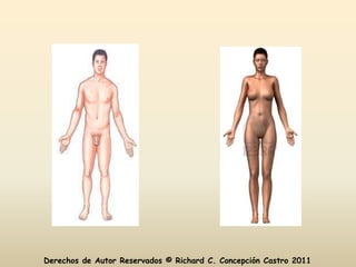 Derechos de Autor Reservados © Richard C. Concepción Castro 2011
 