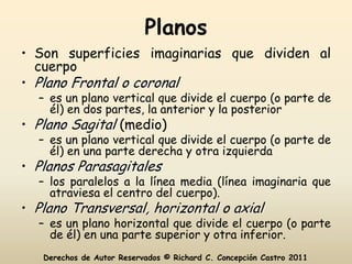 Planos
• Son superficies imaginarias que dividen al
  cuerpo
• Plano Frontal o coronal
  – es un plano vertical que divide el cuerpo (o parte de
    él) en dos partes, la anterior y la posterior
• Plano Sagital (medio)
  – es un plano vertical que divide el cuerpo (o parte de
    él) en una parte derecha y otra izquierda
• Planos Parasagitales
  – los paralelos a la línea media (línea imaginaria que
    atraviesa el centro del cuerpo).
• Plano Transversal, horizontal o axial
  – es un plano horizontal que divide el cuerpo (o parte
    de él) en una parte superior y otra inferior.
   Derechos de Autor Reservados © Richard C. Concepción Castro 2011
 