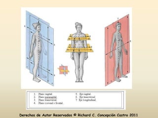 Derechos de Autor Reservados © Richard C. Concepción Castro 2011
 
