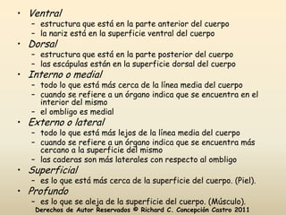 • Ventral
   – estructura que está en la parte anterior del cuerpo
   – la nariz está en la superficie ventral del cuerpo
• Dorsal
   – estructura que está en la parte posterior del cuerpo
   – las escápulas están en la superficie dorsal del cuerpo
• Interno o medial
   – todo lo que está más cerca de la línea media del cuerpo
   – cuando se refiere a un órgano indica que se encuentra en el
     interior del mismo
   – el ombligo es medial
• Externo o lateral
   – todo lo que está más lejos de la línea media del cuerpo
   – cuando se refiere a un órgano indica que se encuentra más
     cercano a la superficie del mismo
   – las caderas son más laterales con respecto al ombligo
• Superficial
   – es lo que está más cerca de la superficie del cuerpo. (Piel).
• Profundo
   – es lo que se aleja de la superficie del cuerpo. (Músculo).
    Derechos de Autor Reservados © Richard C. Concepción Castro 2011
 